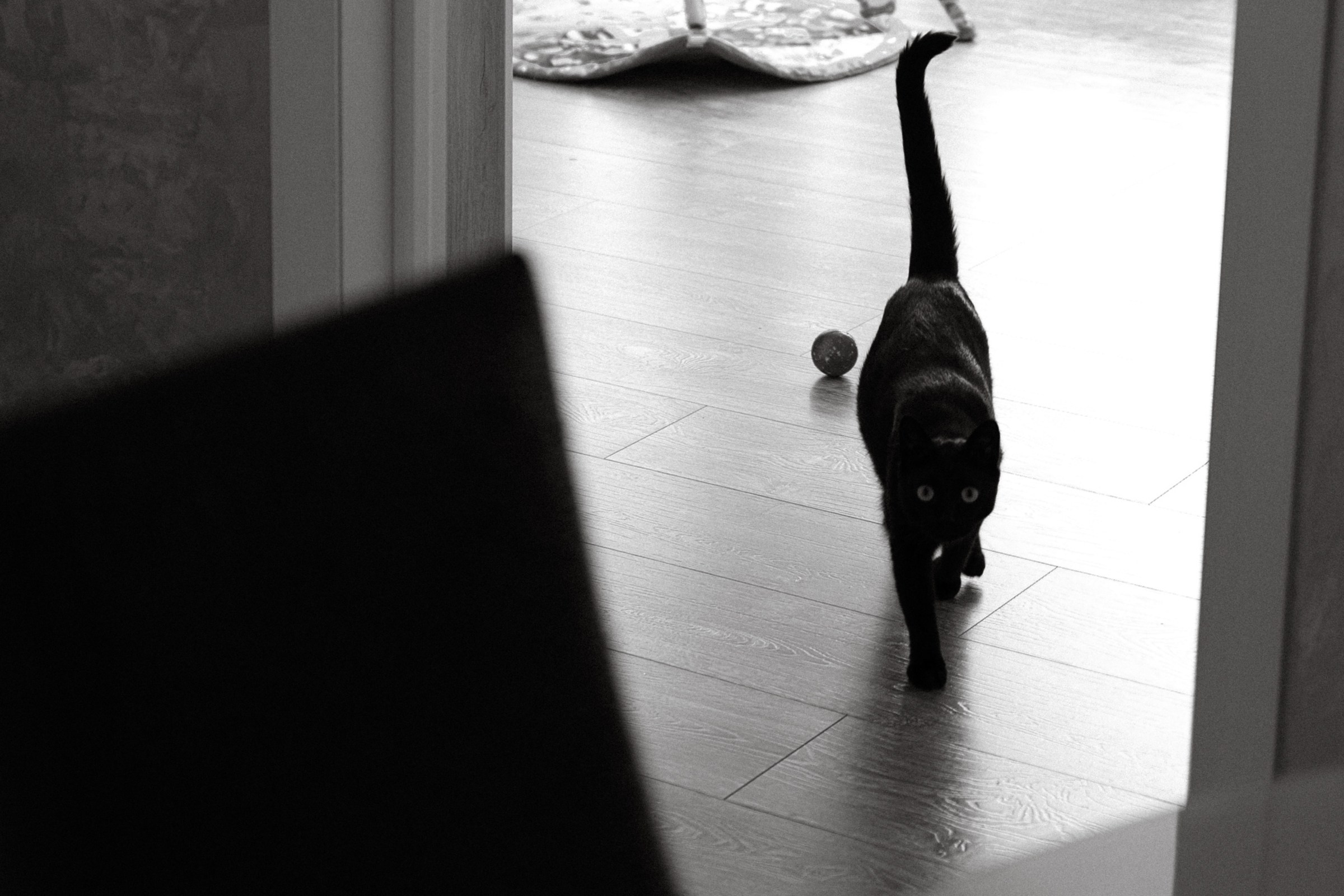 Тепло. Фотограф Daria Wilner