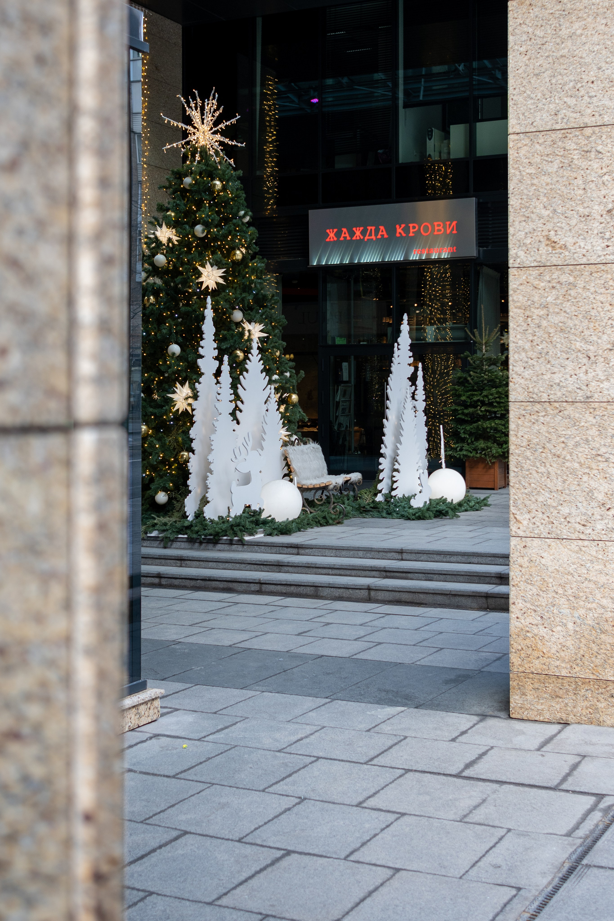 20250202 Белорусская-Охотный ряд. Дмитрий Ремизов. Фотография, как хобби