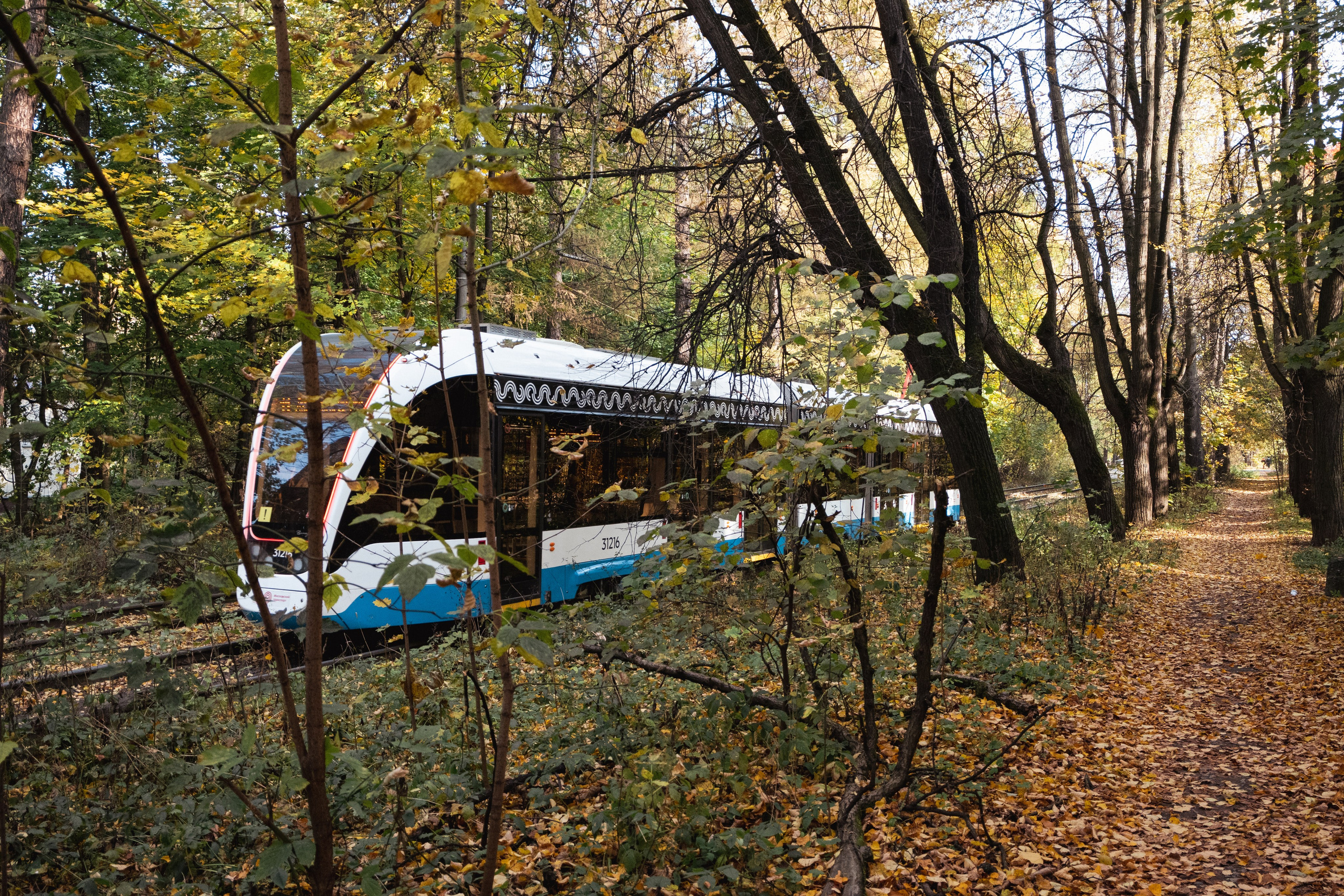 20241012 Измайлово. Дмитрий Ремизов. Фотография, как хобби