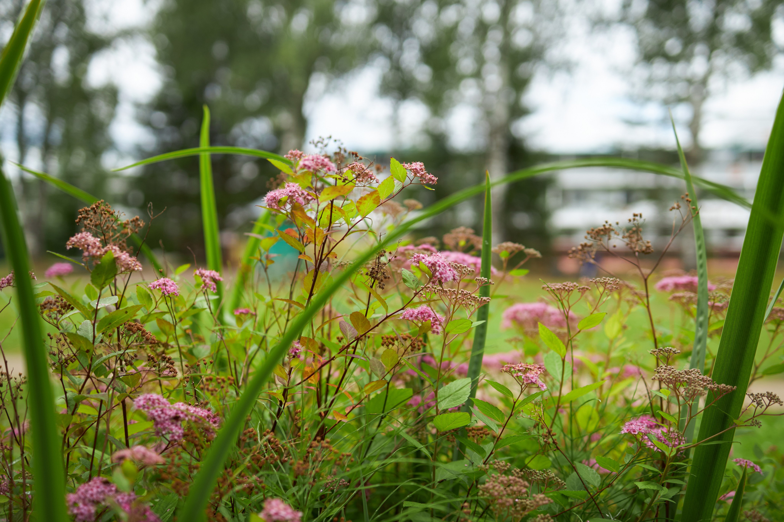 Пейзажи. Свадебный и репортажный фотограф в Воронеже Сергей Максимов
