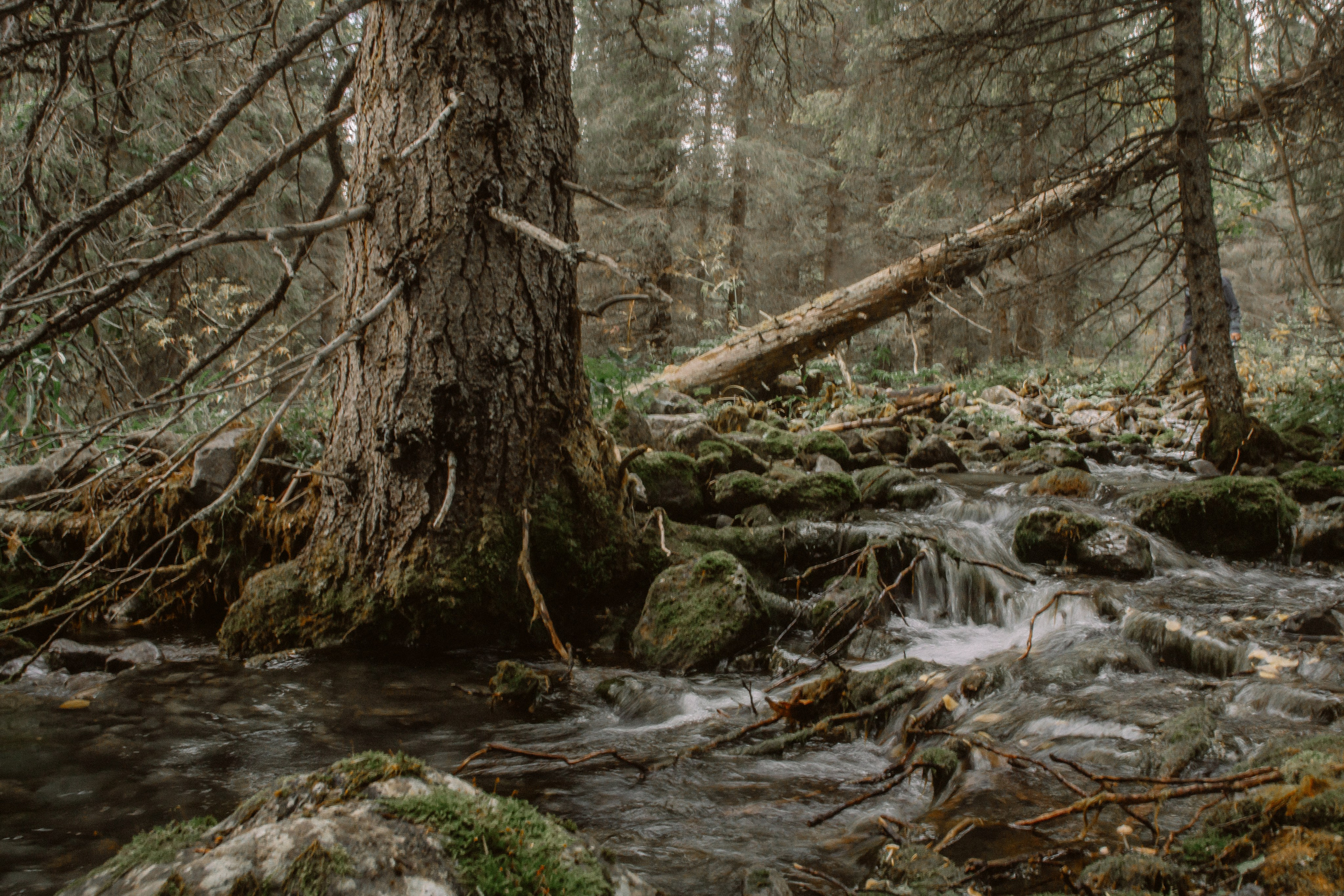 EXHIBITION. Репортажный и интерьерный фотограф, фотохудожник