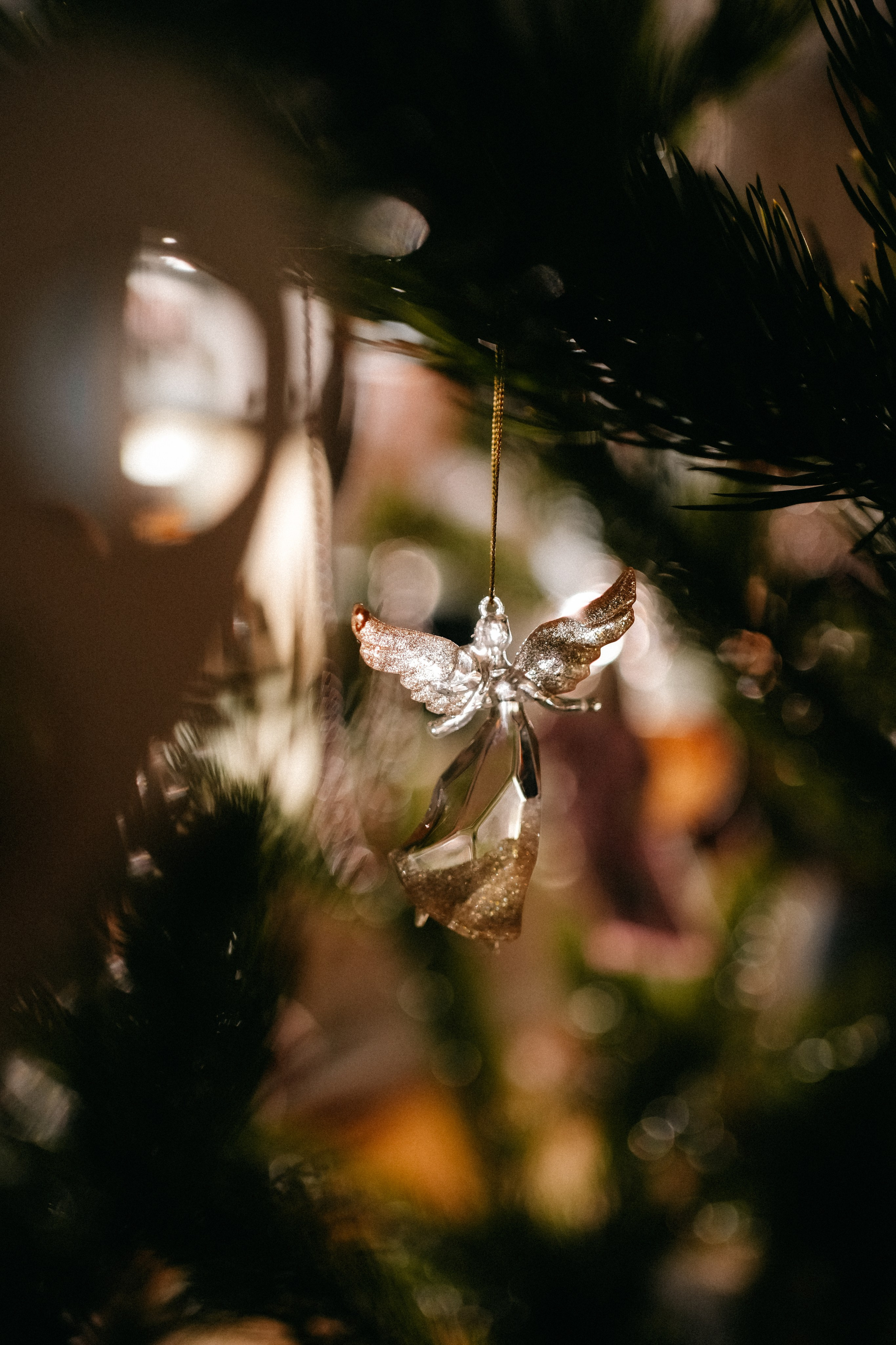 Долгушины. Фотограф Перевозкина Анна