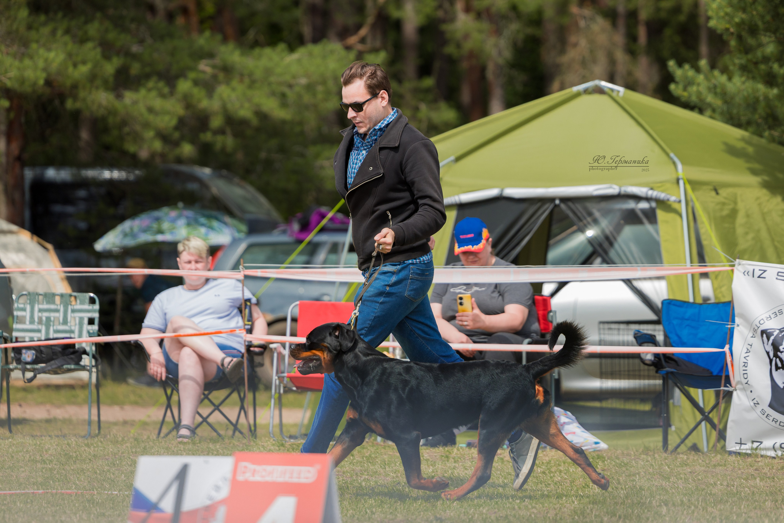 Тверь ротвейлеры 5-6.07.2025. Фотограф-анималист Юлия Германика