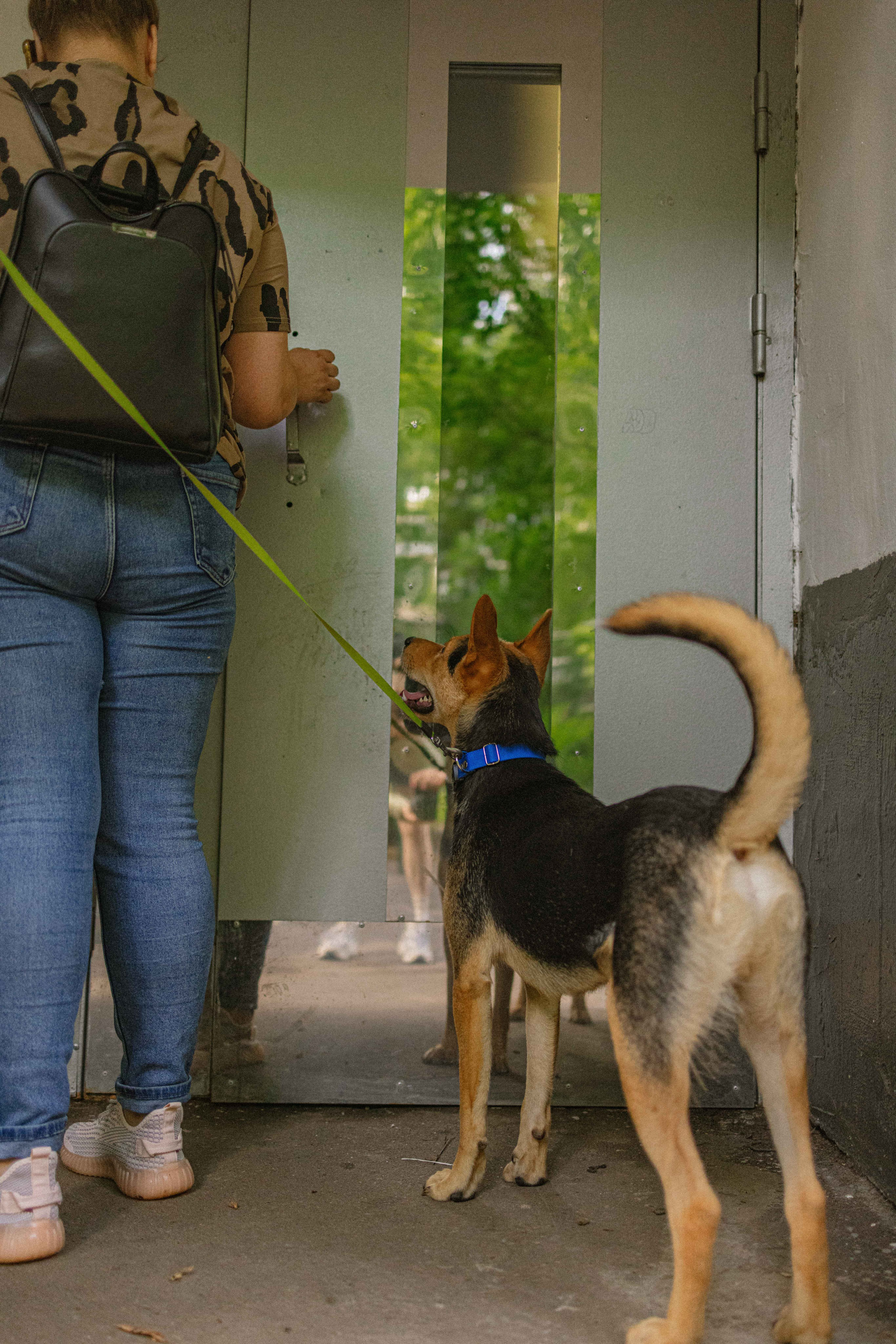 Джеки. Фотограф-анималист в Москве Лера Черноног