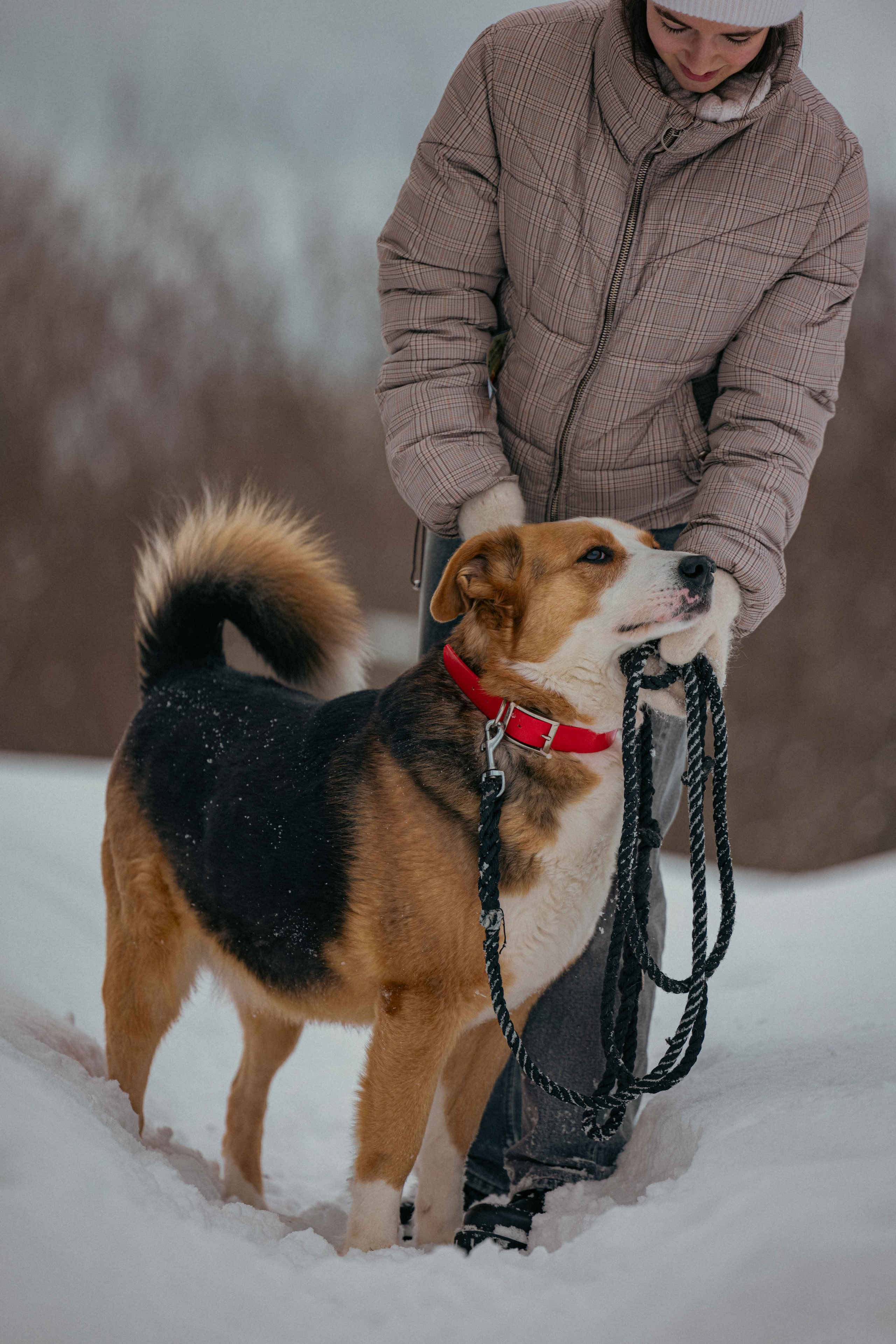 Петя. Фотограф-анималист в Москве Лера Черноног