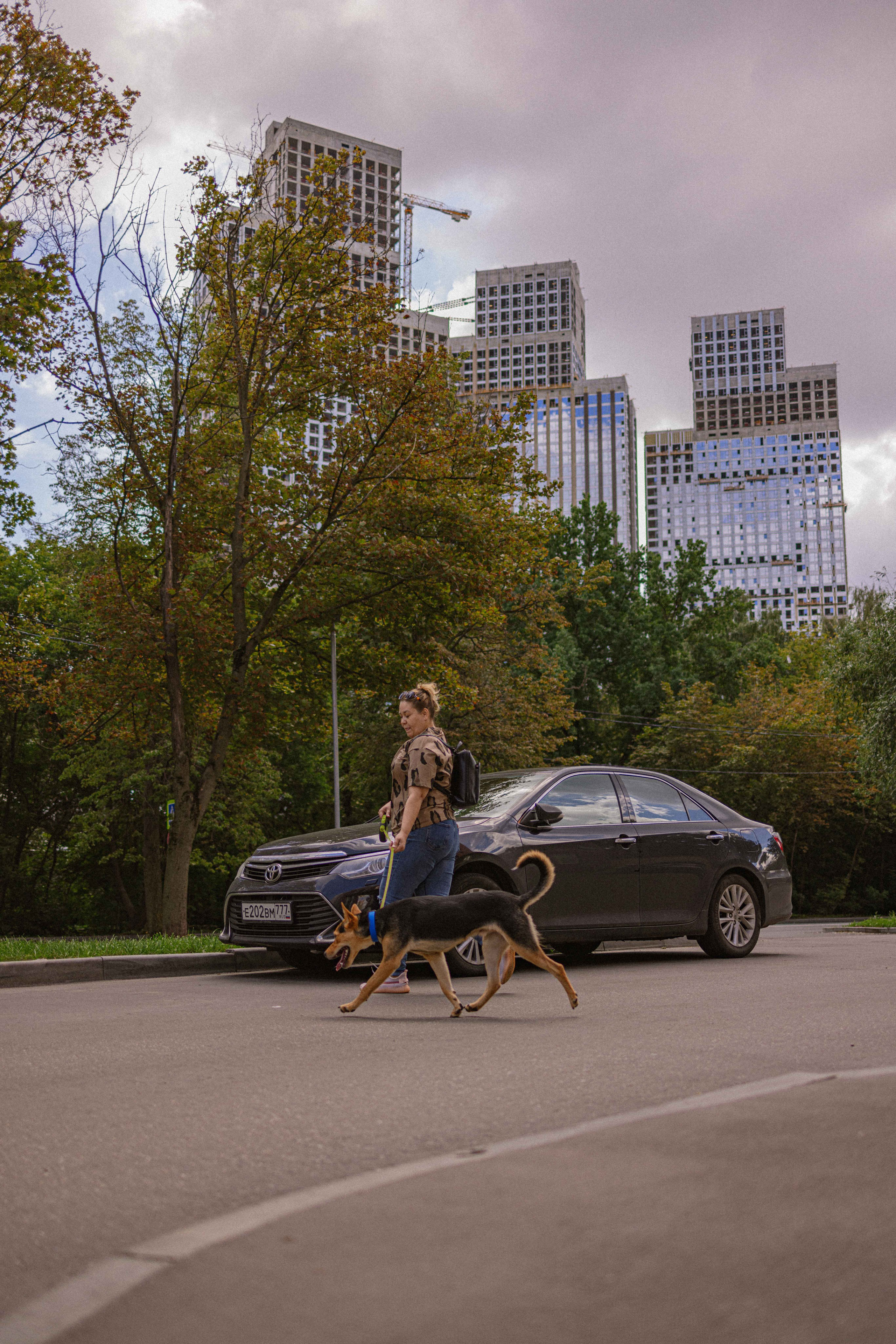 Джеки. Фотограф-анималист в Москве Лера Черноног