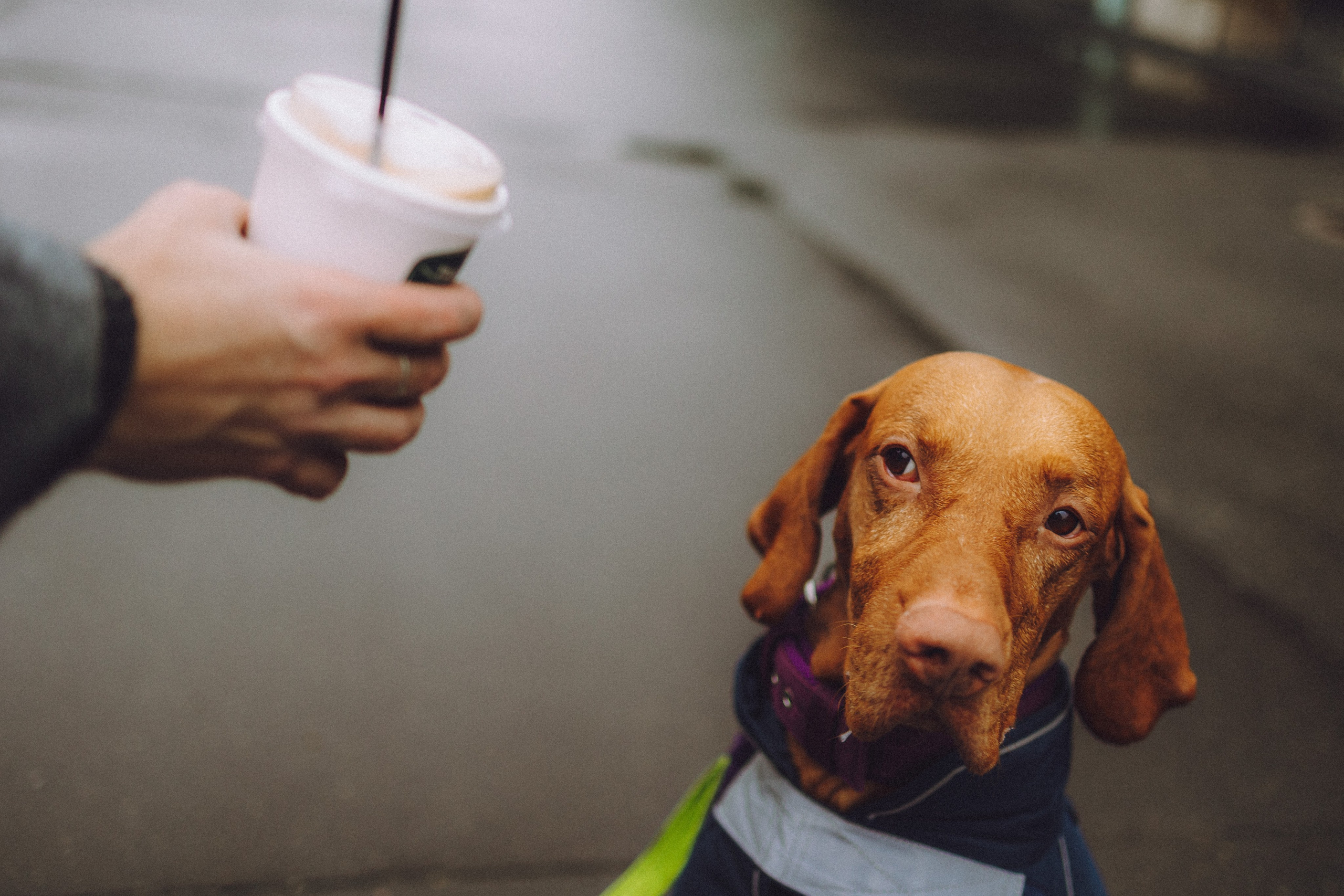 Екатерина и Даня