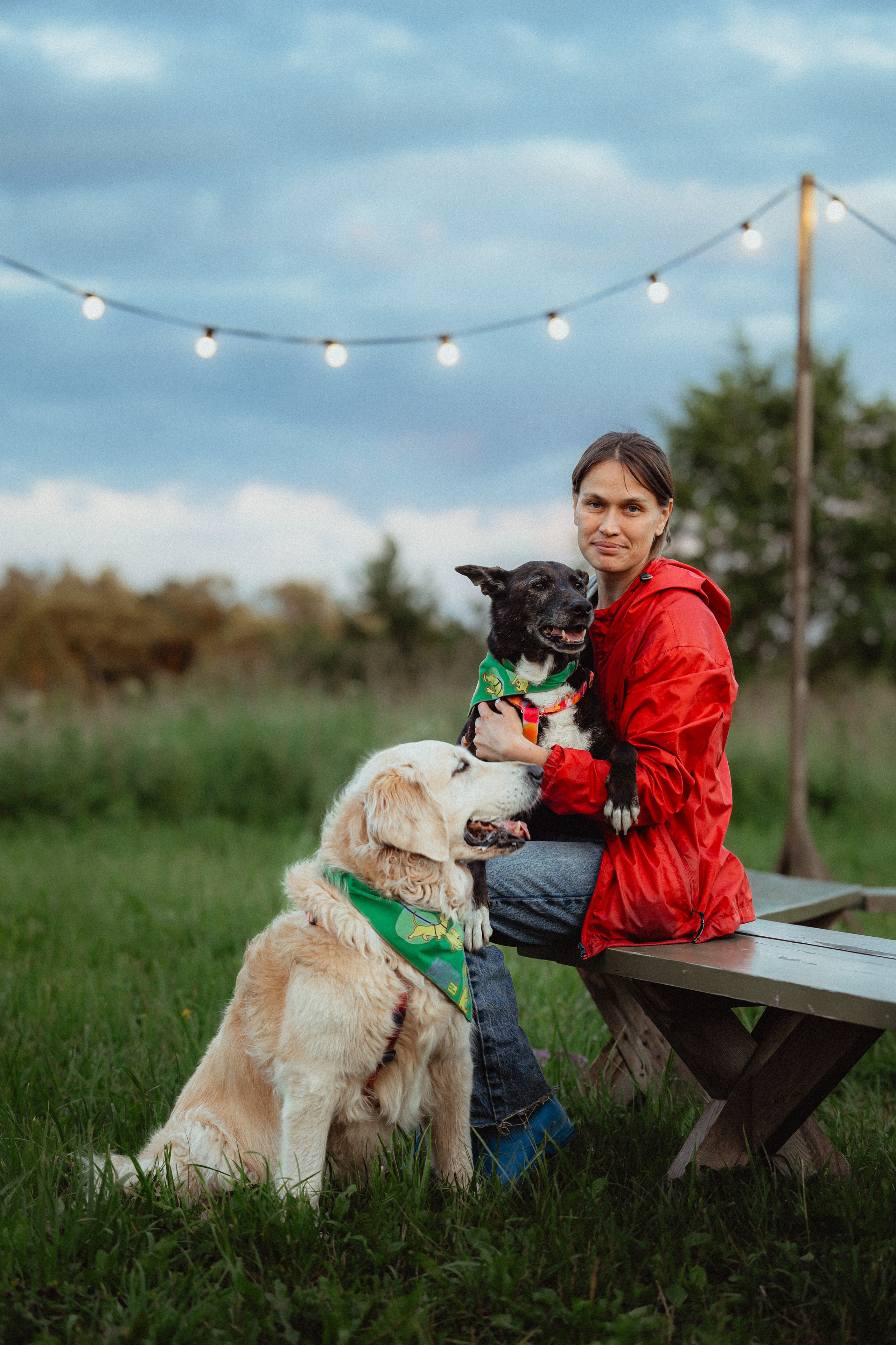 Выездной дог-тренинг от школы «Шерсть имею»