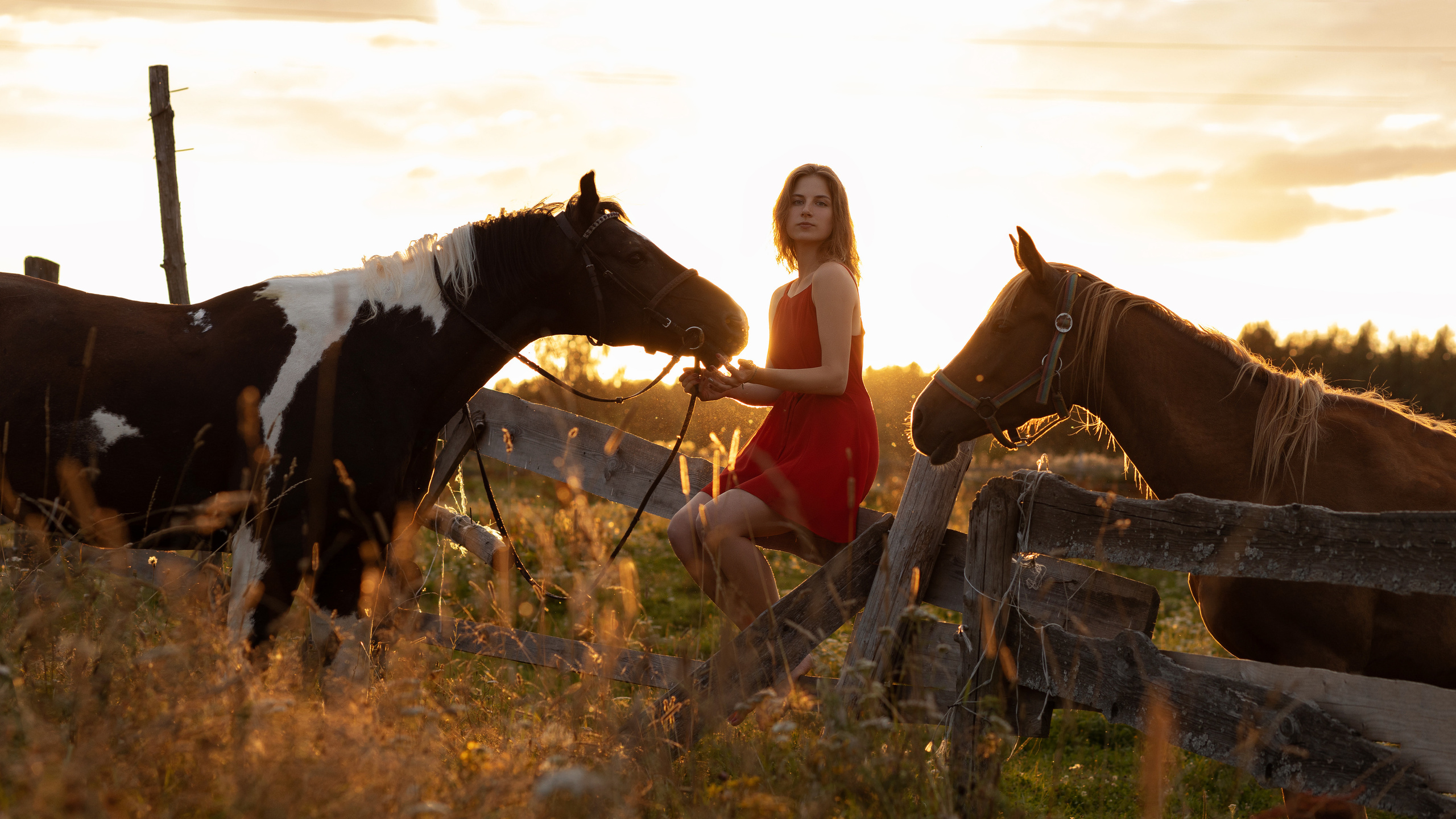 Индивидуальные фотопрогулки. Фотограф Минск