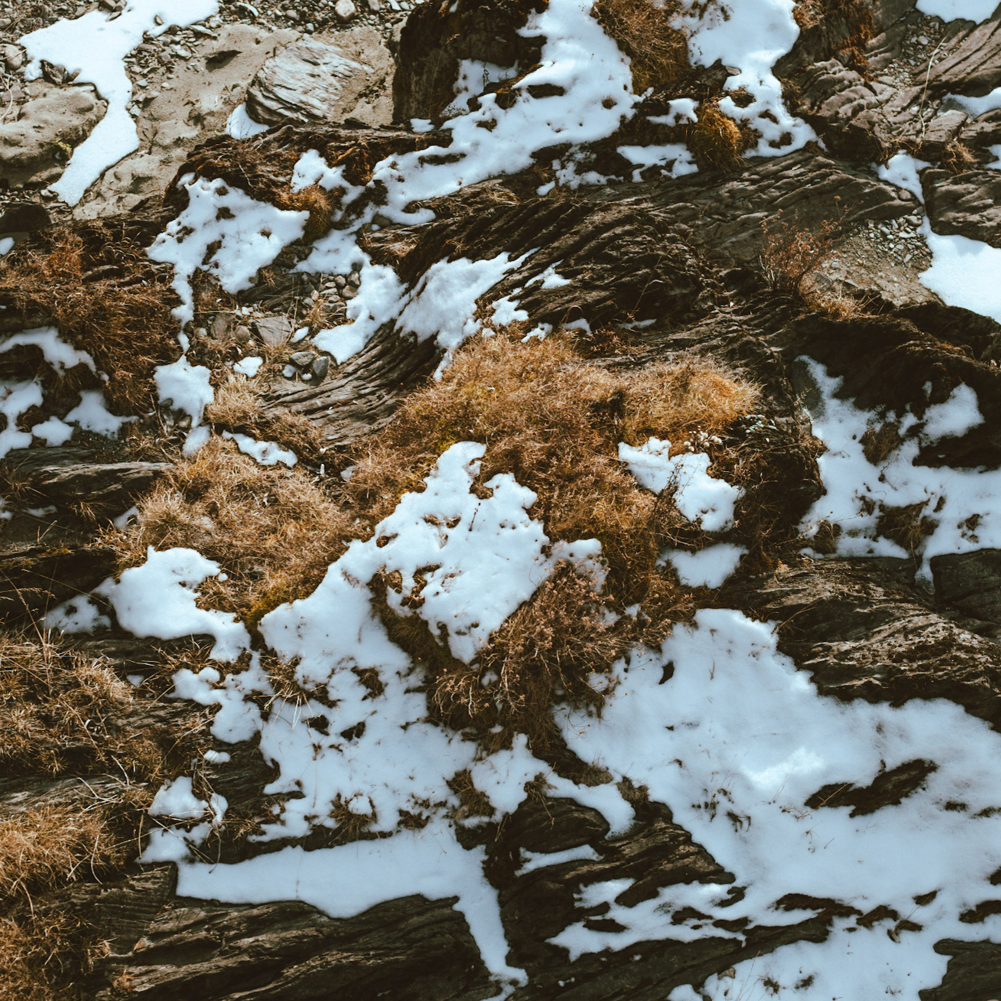 Алтай. Больше не греет