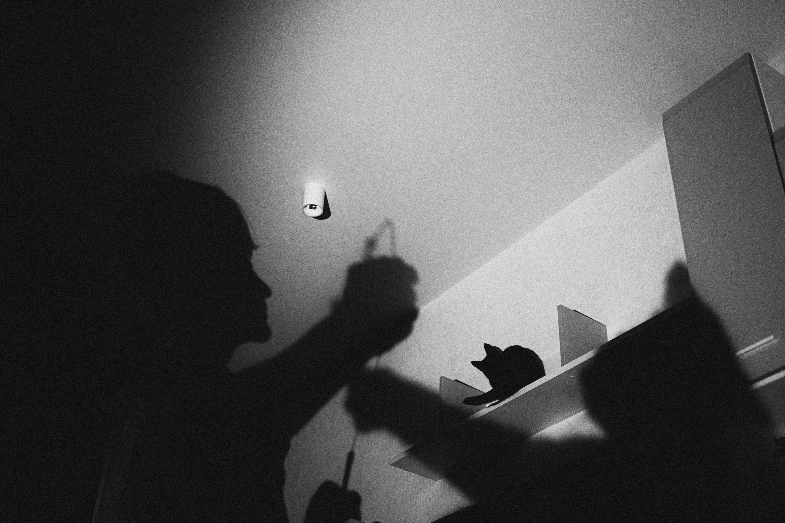 Рыся, Кепа и их семья