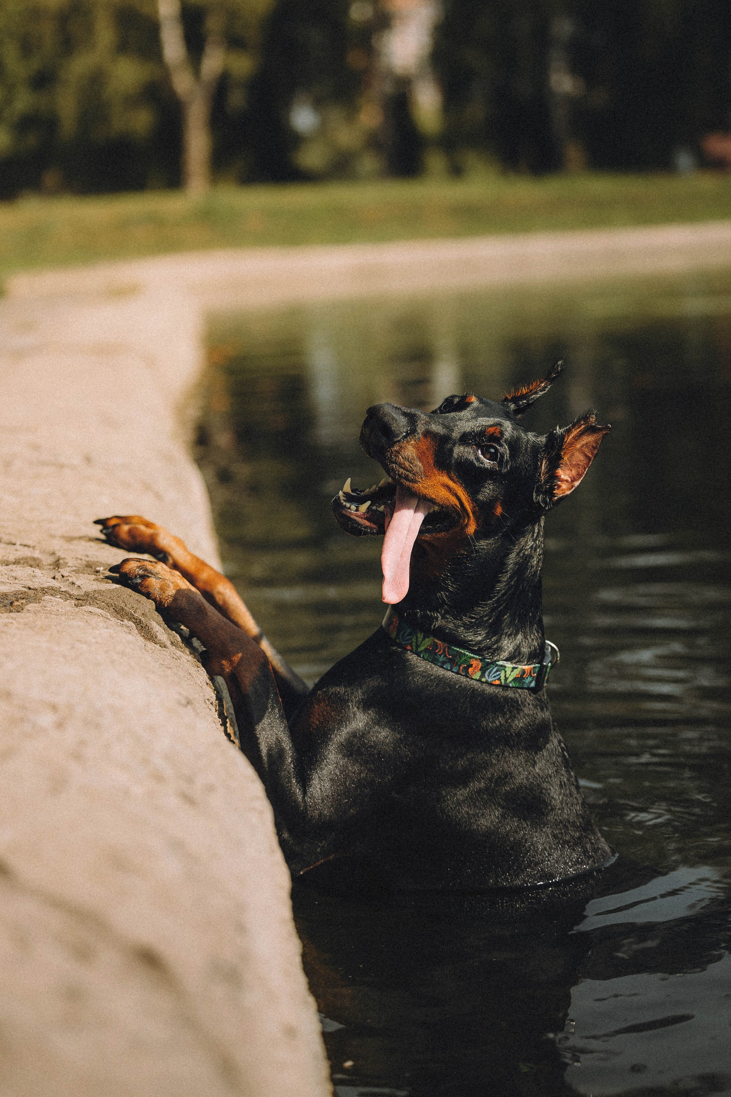 Паша и Хайди