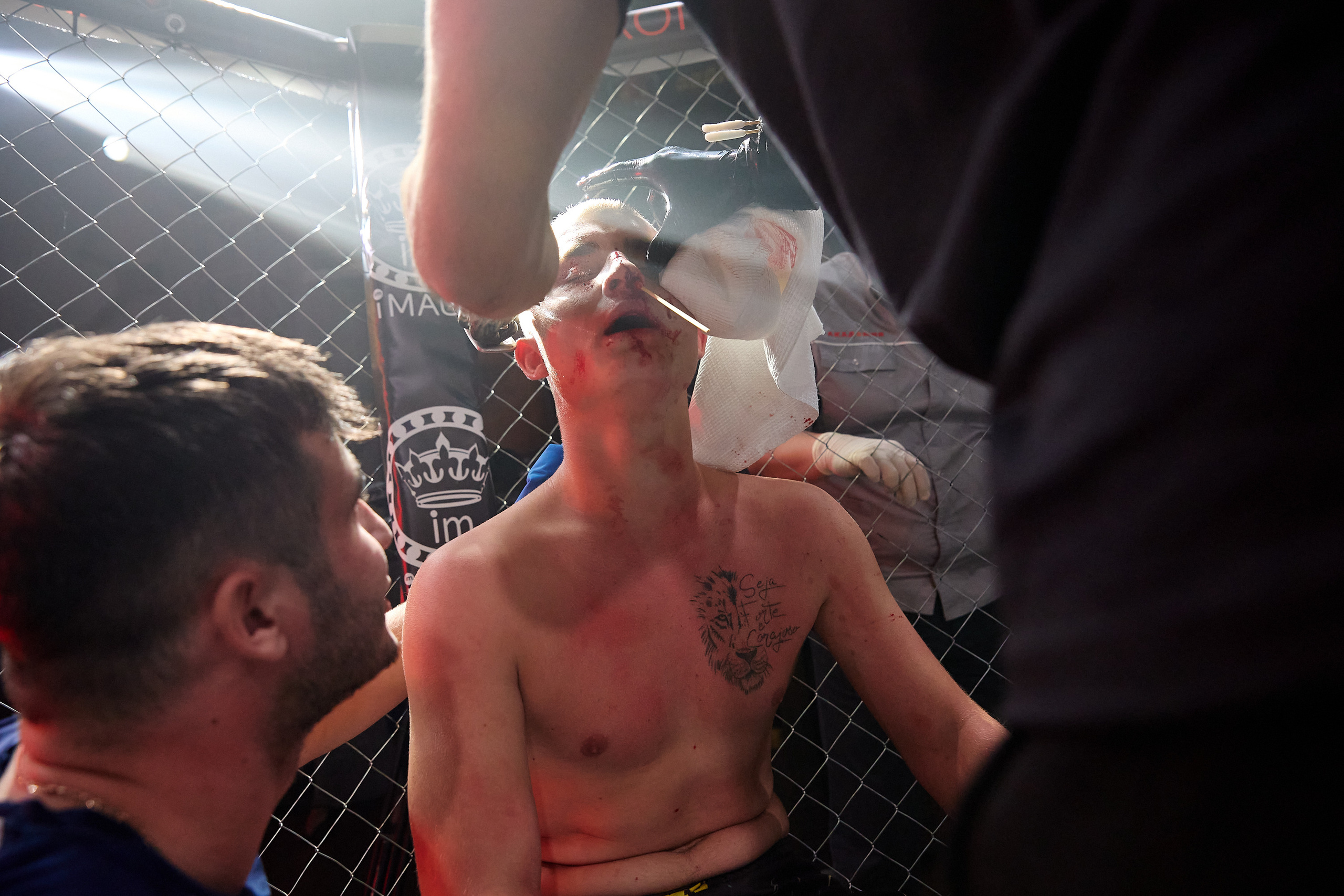 Спортивный Фотограф спорт мероприятие Владивосток единоборства ММА 