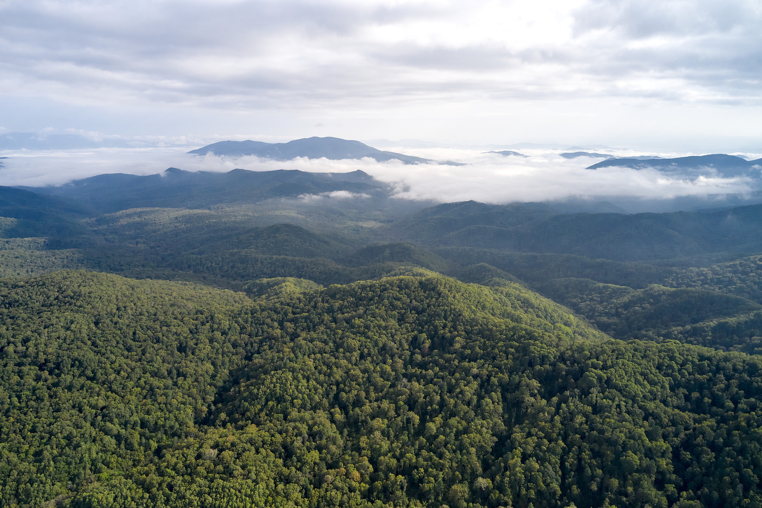 База отдыха «Времена года»