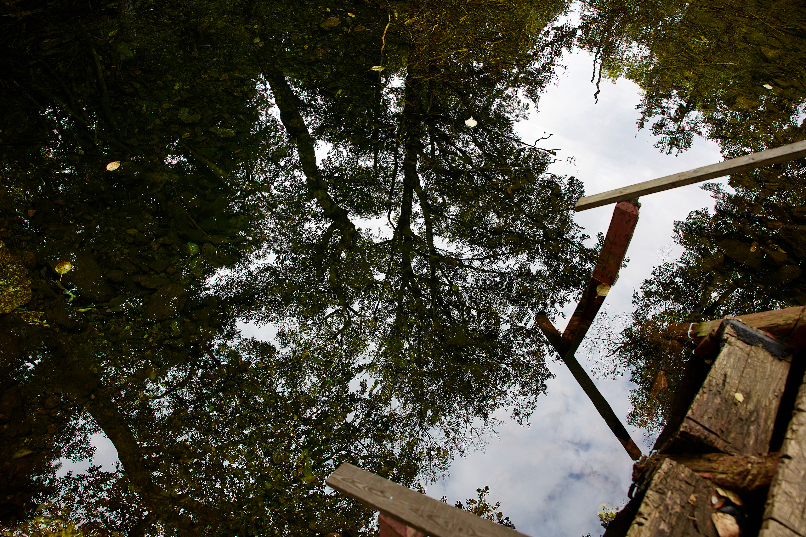 База отдыха «Времена года»