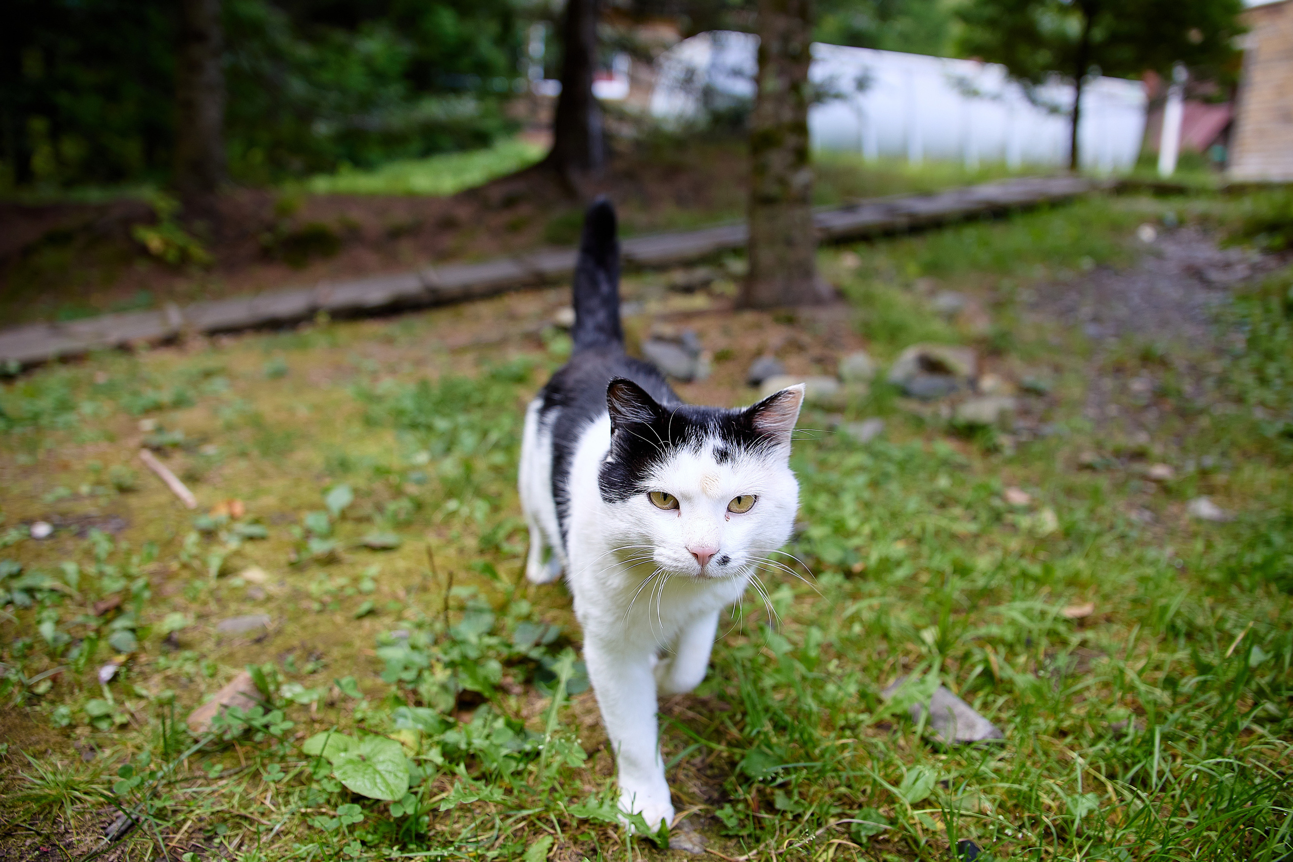 База отдыха «Времена года»