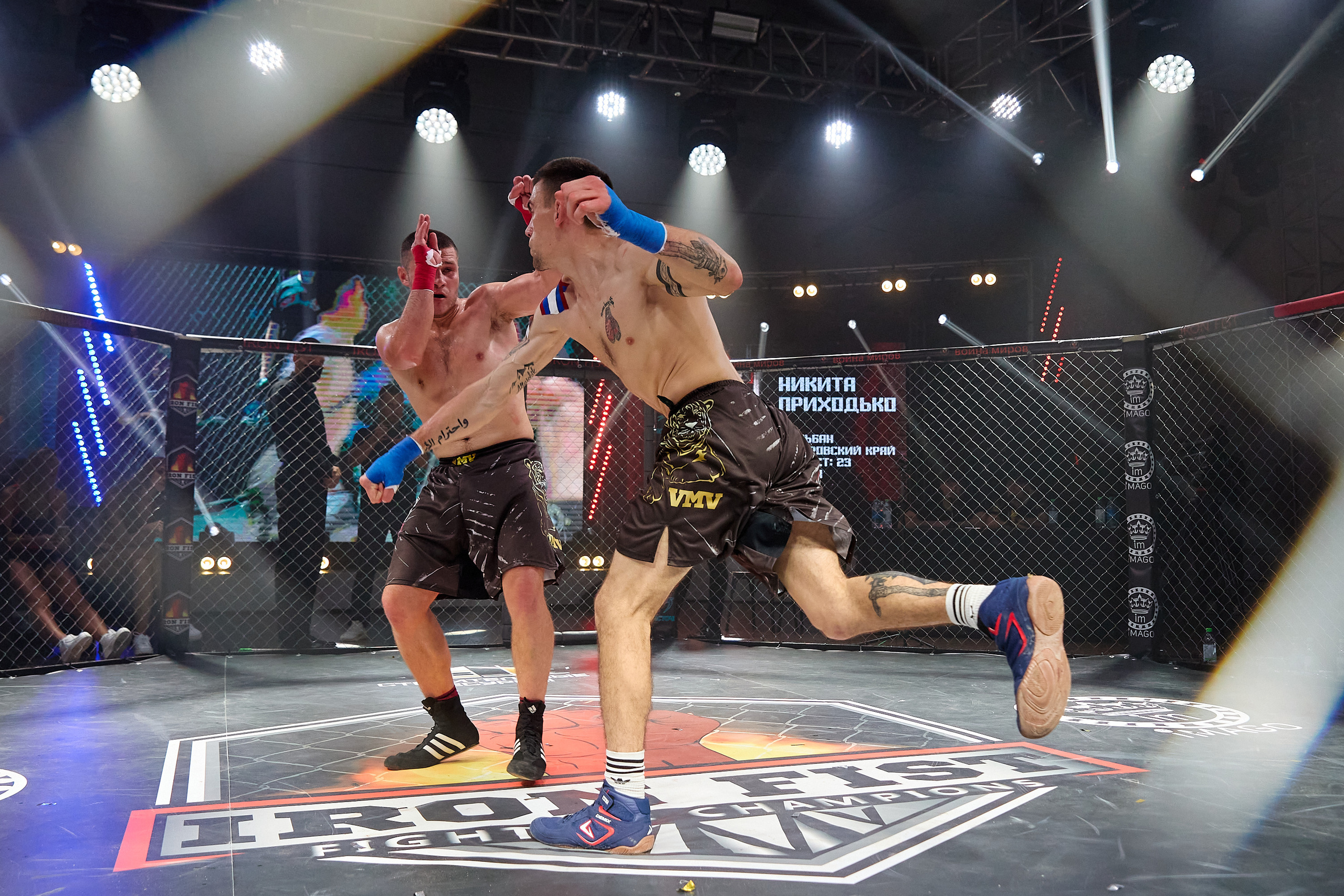 Спортивный Фотограф спорт мероприятие Владивосток единоборства ММА 