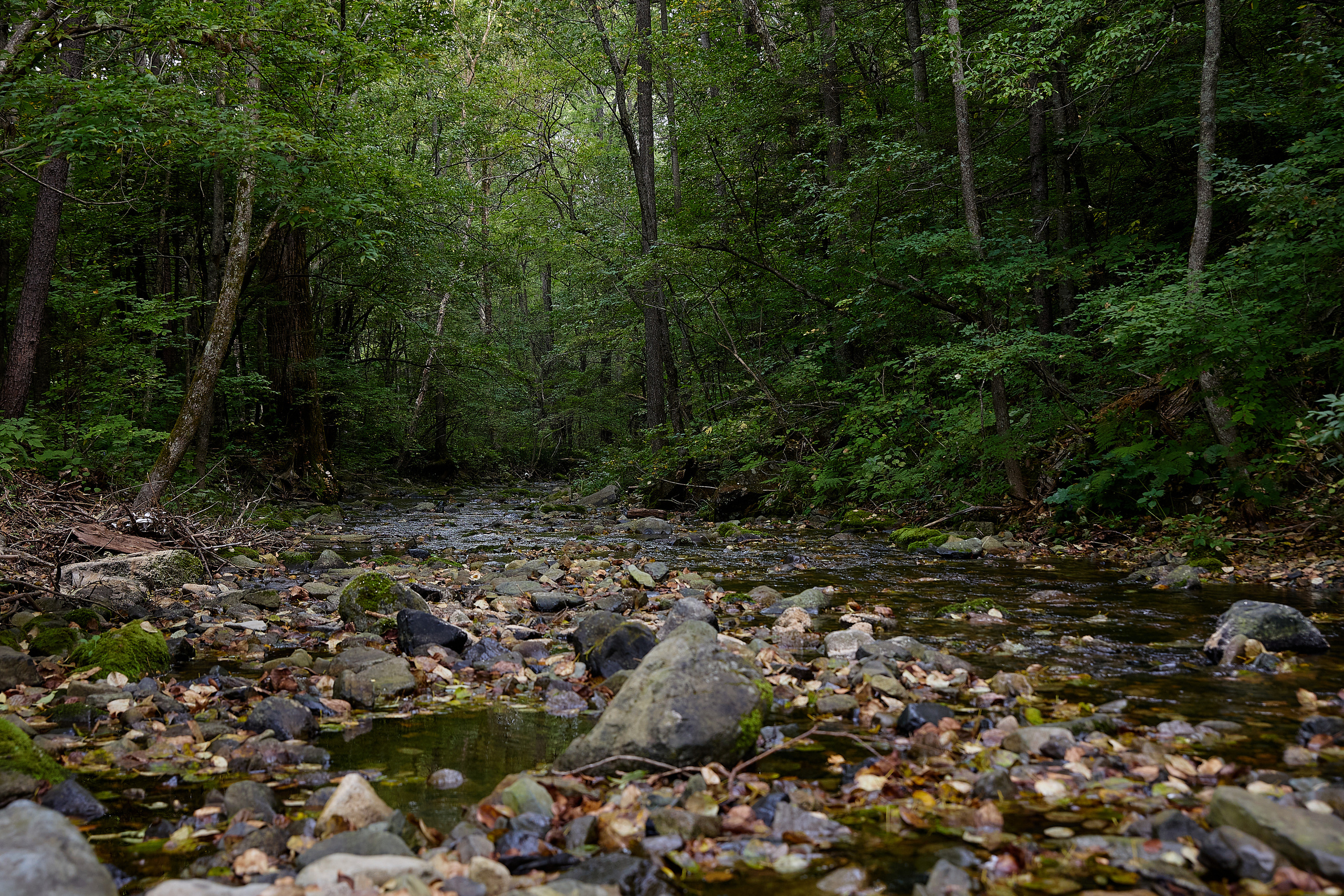 База отдыха «Времена года»