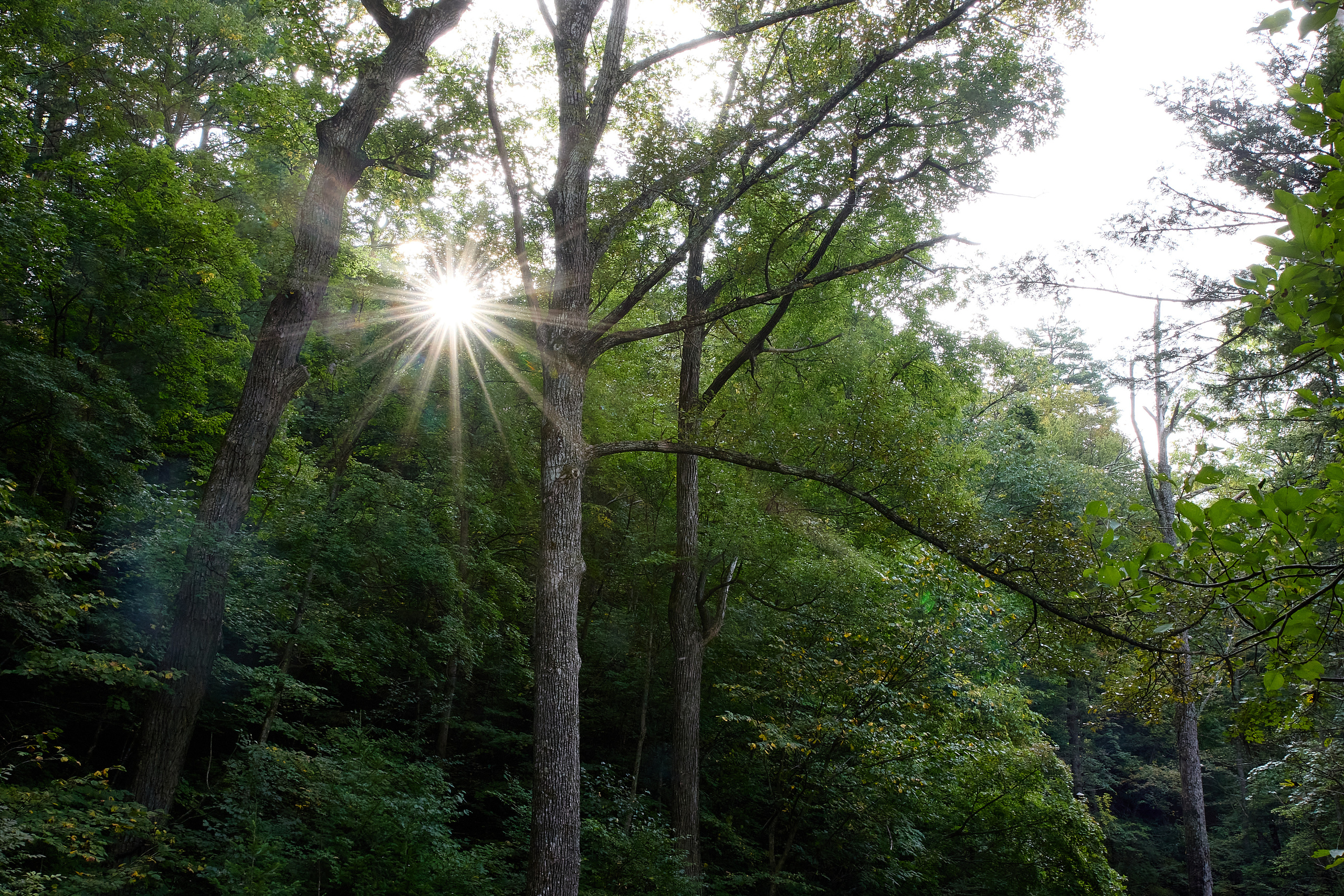 База отдыха «Времена года»