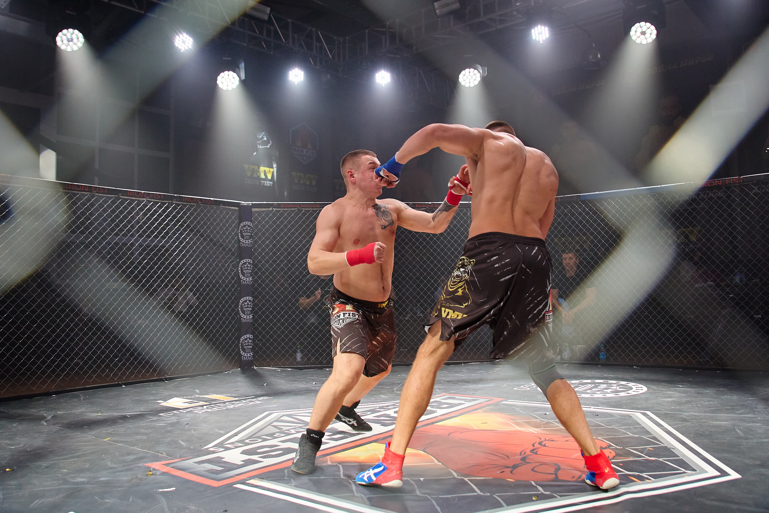 Спортивный Фотограф спорт мероприятие Владивосток единоборства ММА 