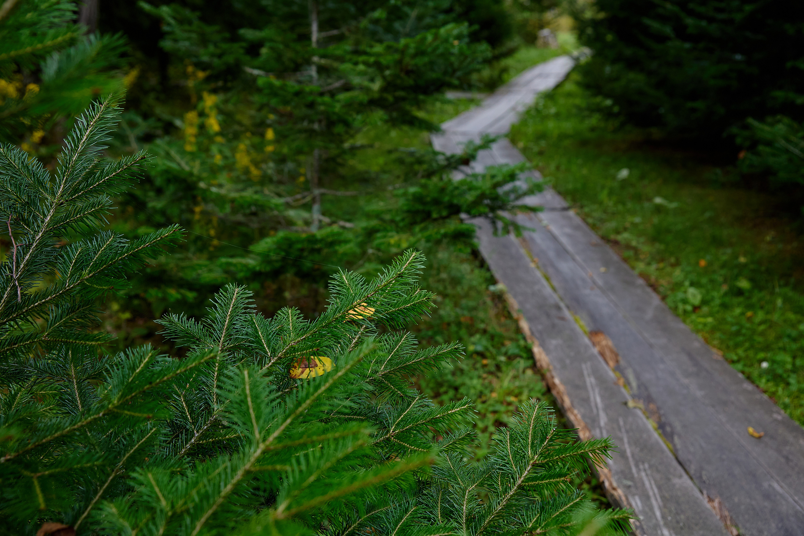 База отдыха «Времена года»