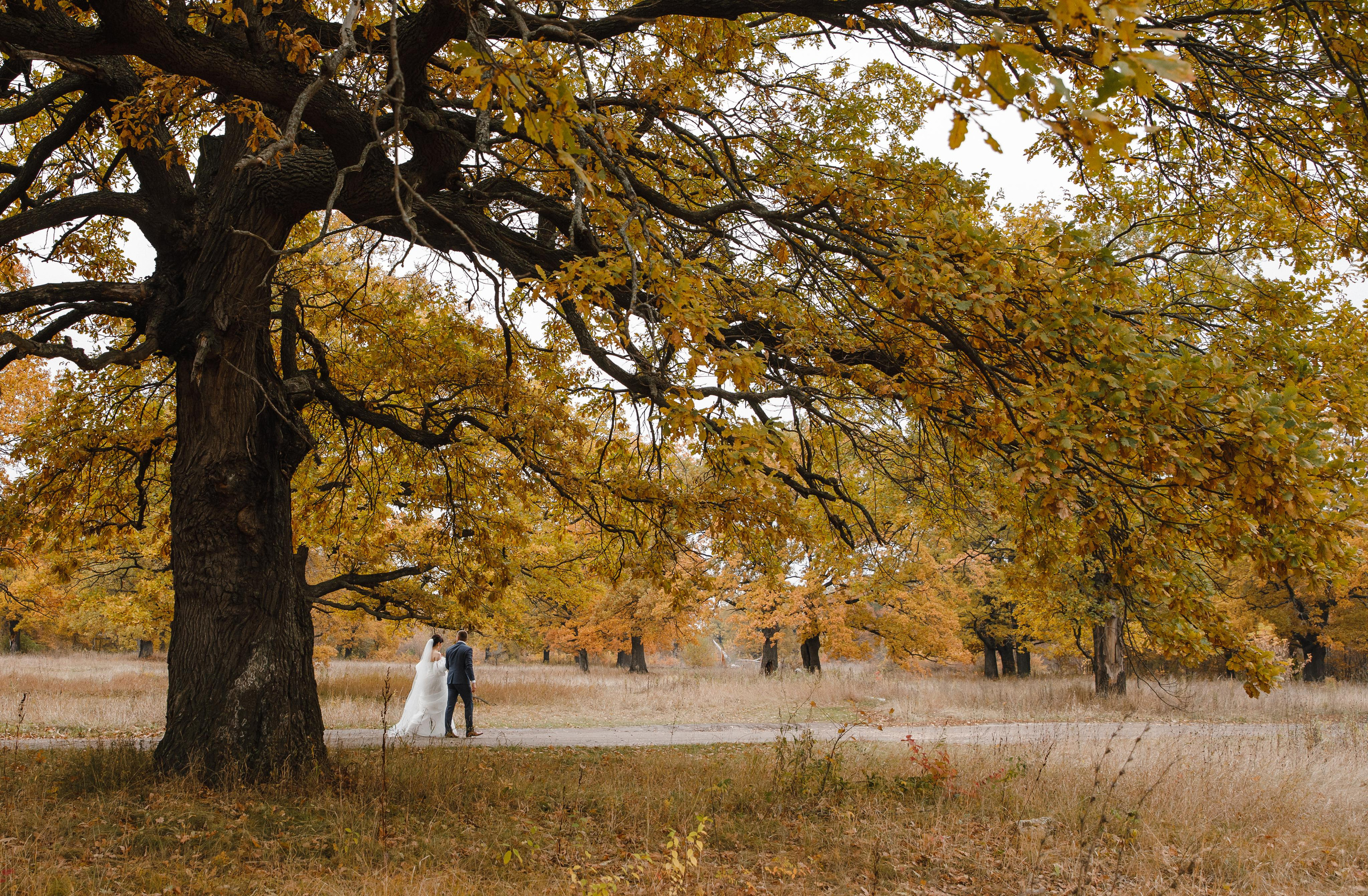 Кирилл и Юлия. Свадебный и семейный фотограф в Рязани Саша Крутых