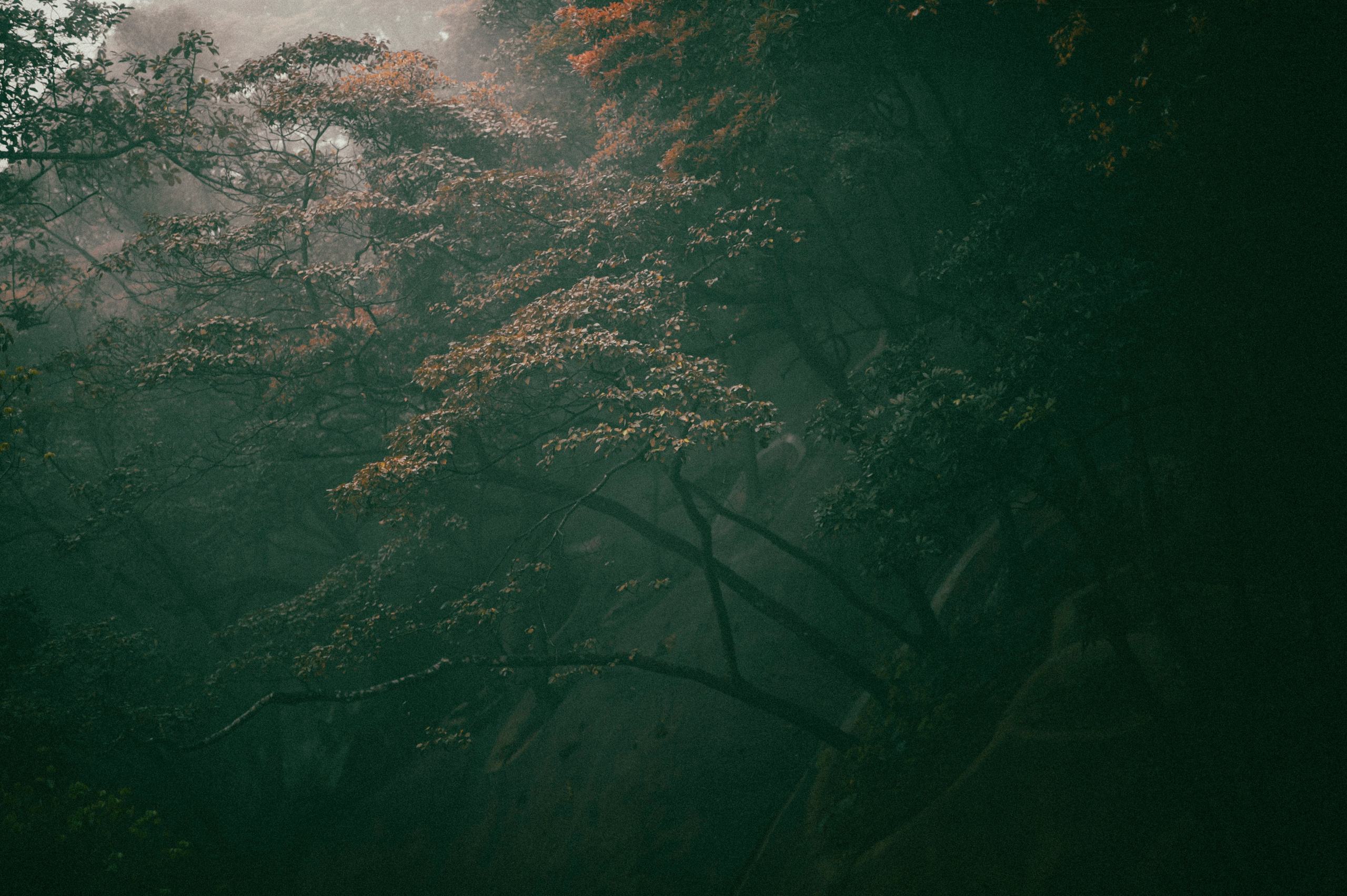 Жизнь. Профессиональный фотограф Кирилл Зайцев
