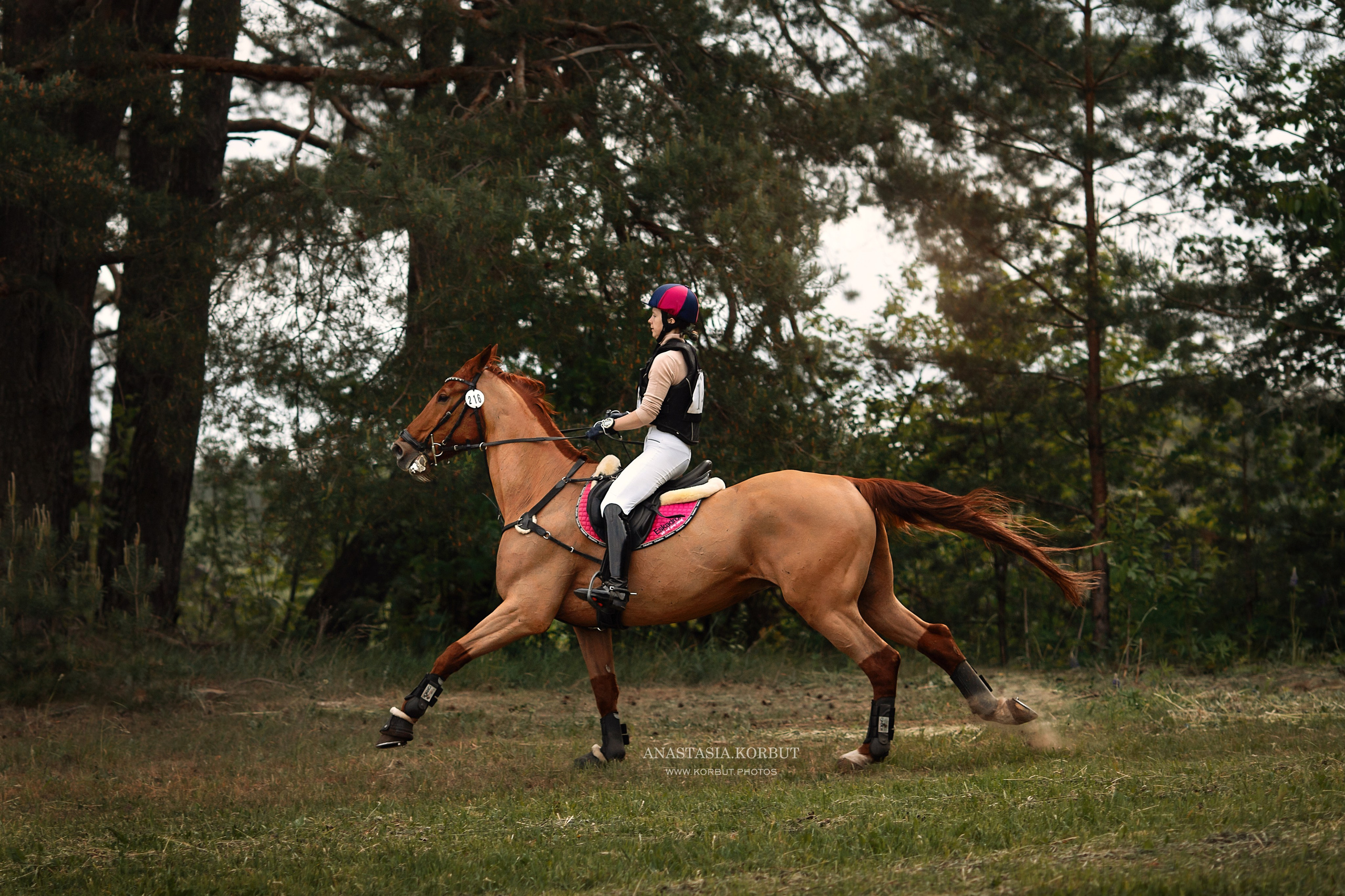 Кросс | Открытые Республиканские соревнования | Июнь 2023. Арт фотограф в Минске Анастасия Корбут