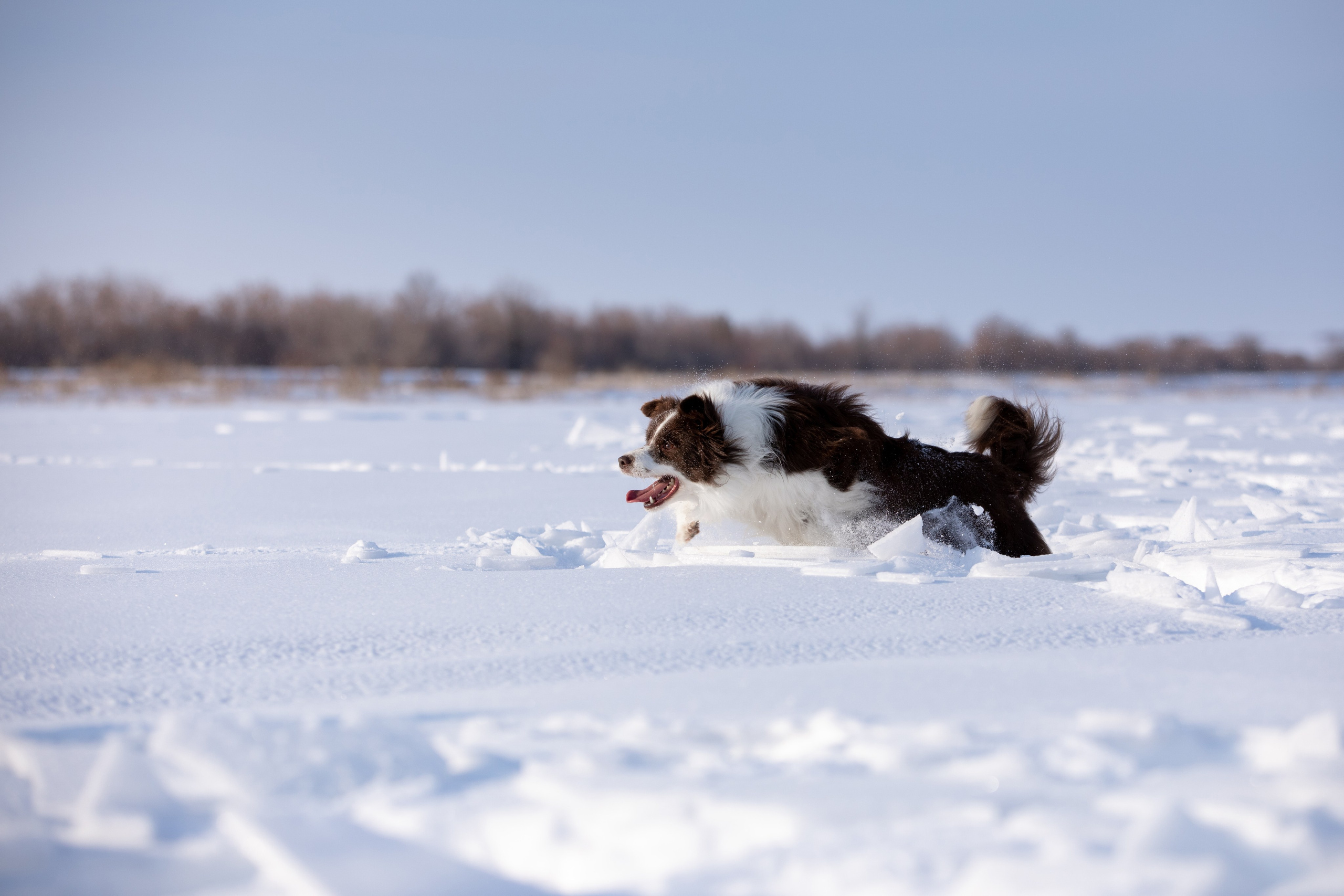 Мороз и солнце. О нас