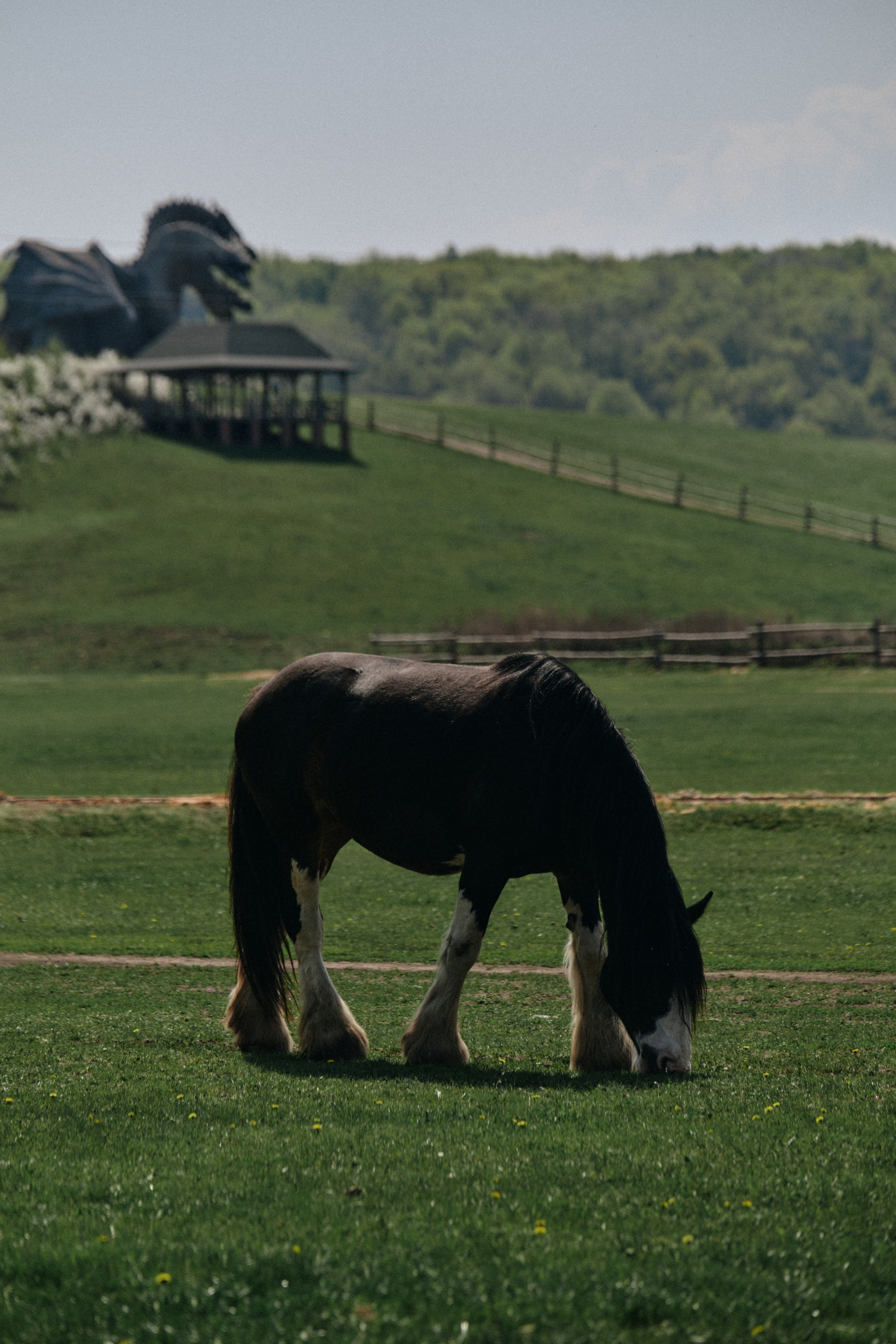 BAON x Кудыкина Гора. Фотограф Сурков Никита