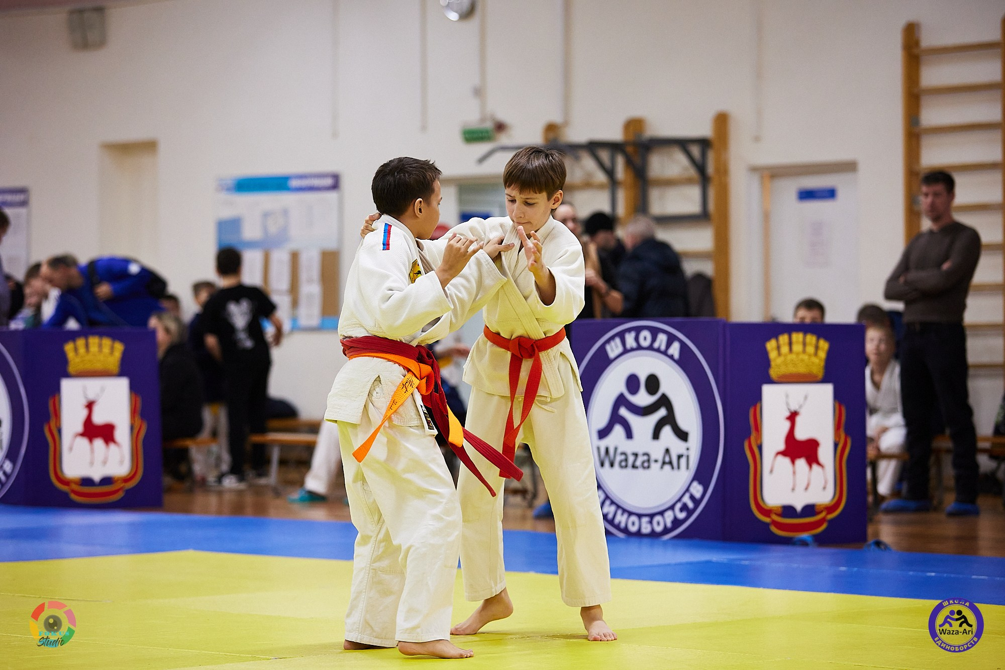 Репортаж Турнир по дзюдо. Спортивный фотограф Некрасов Денис