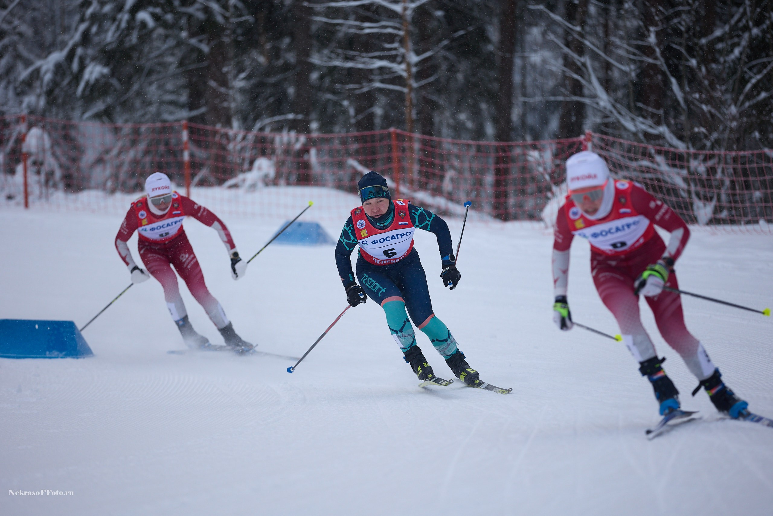 Кубок России по Лыжным гонкам. Спортивный фотограф Некрасов Денис