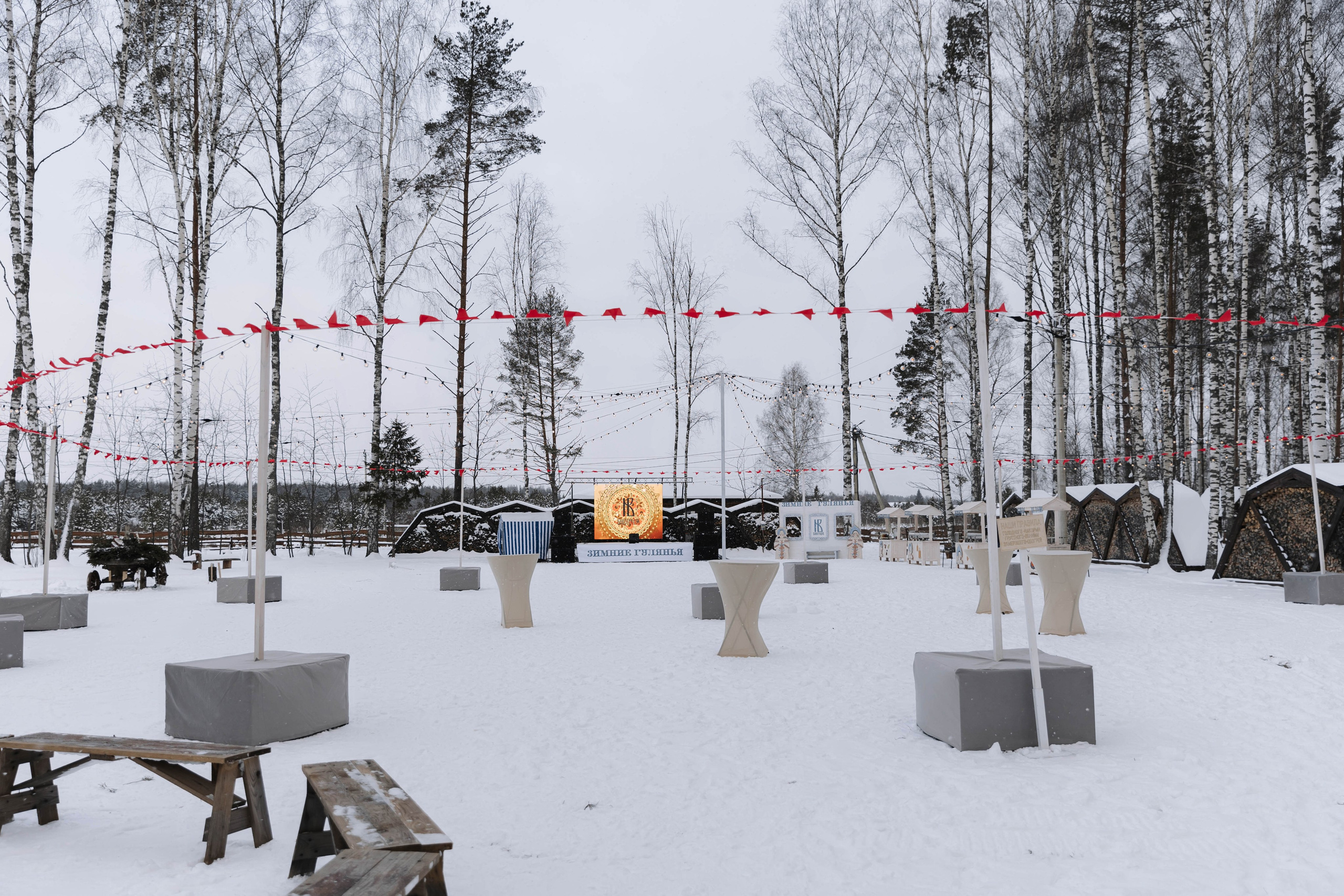 Виноградов. Э Т О М Ы