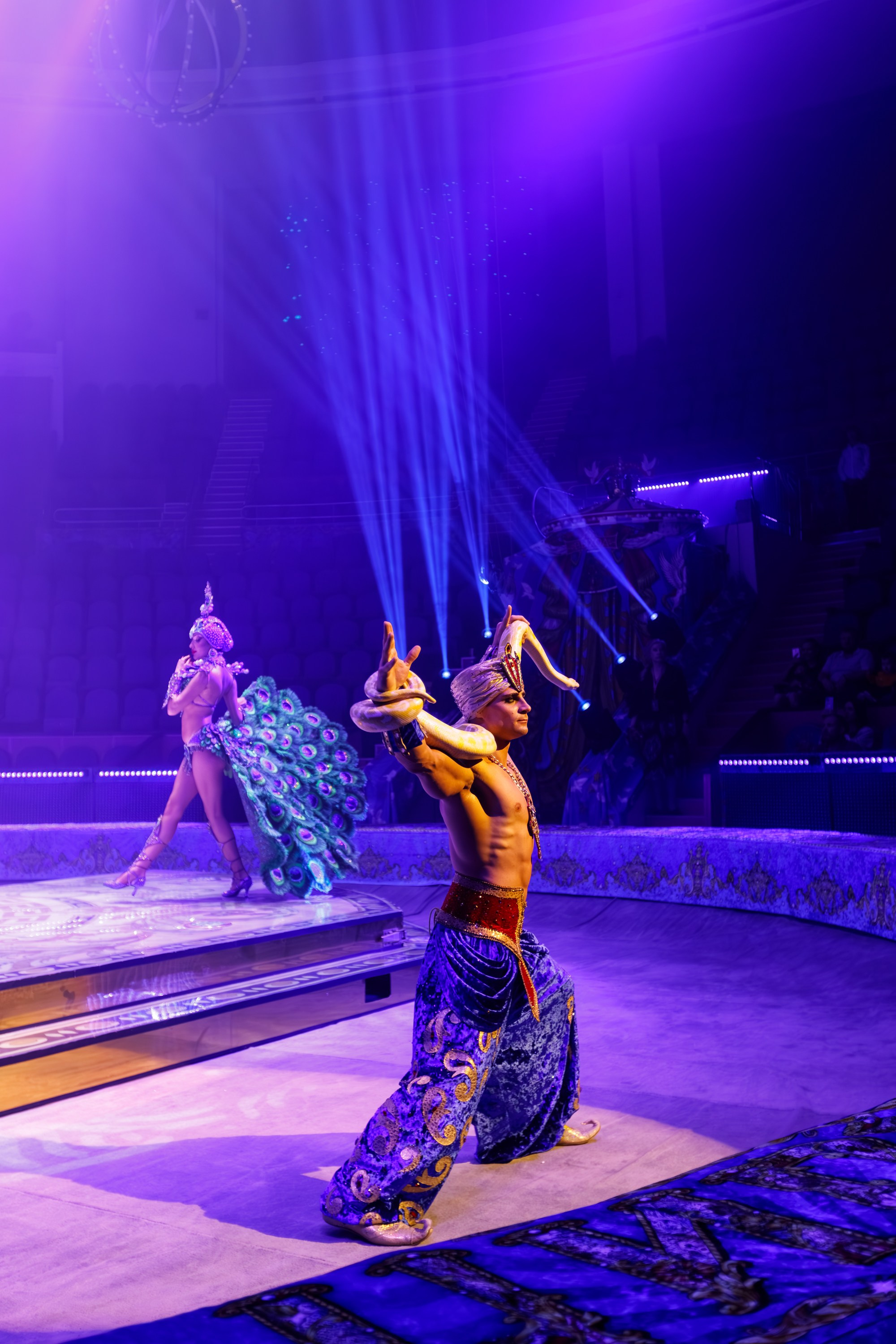 Сочинский росгорцирк Шоу Гии Эрадзе цирк. Профессиональный фотограф в Сочи Виктория Джой. Обучение