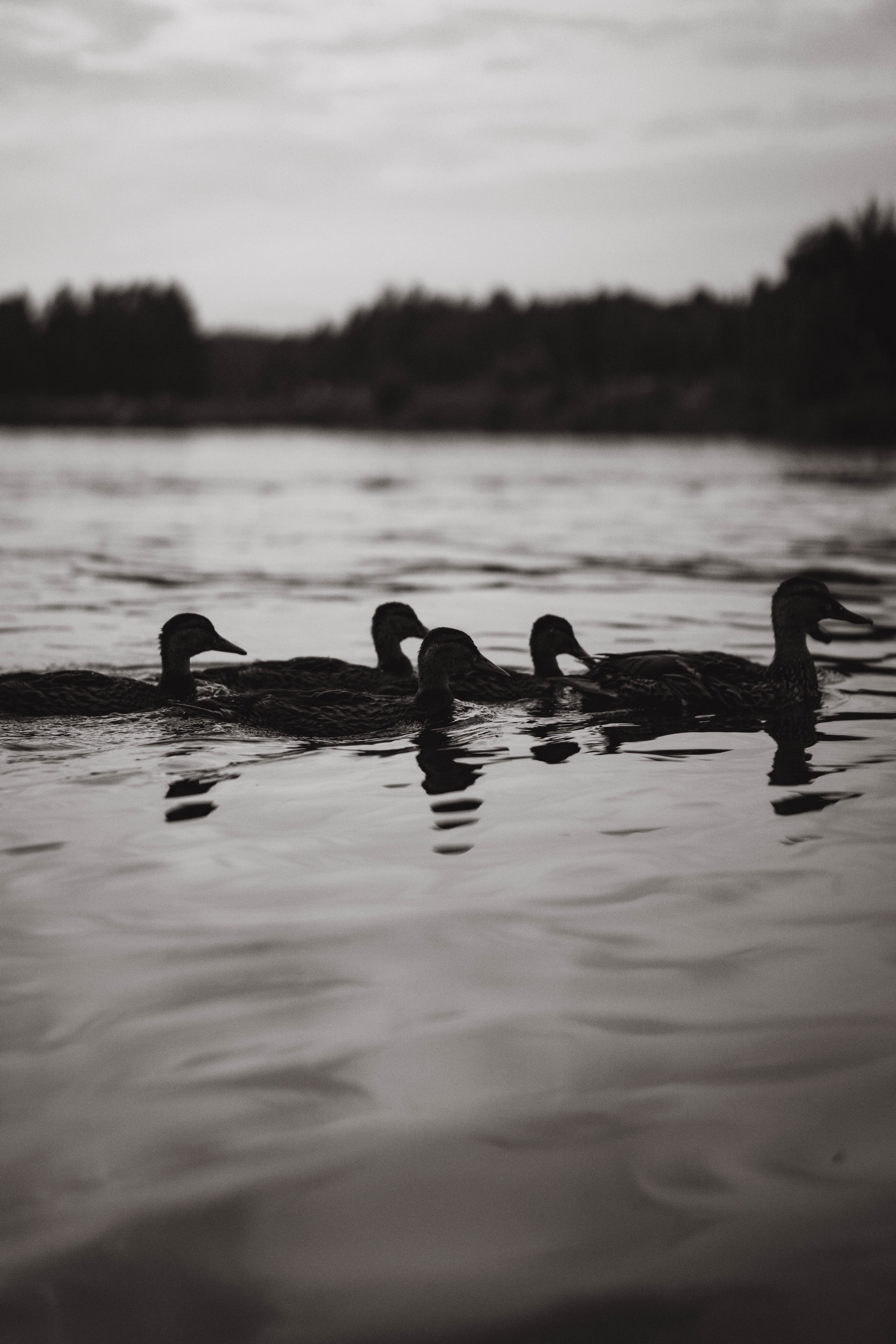 Дарья. Фотограф Москва Валерия Веденина