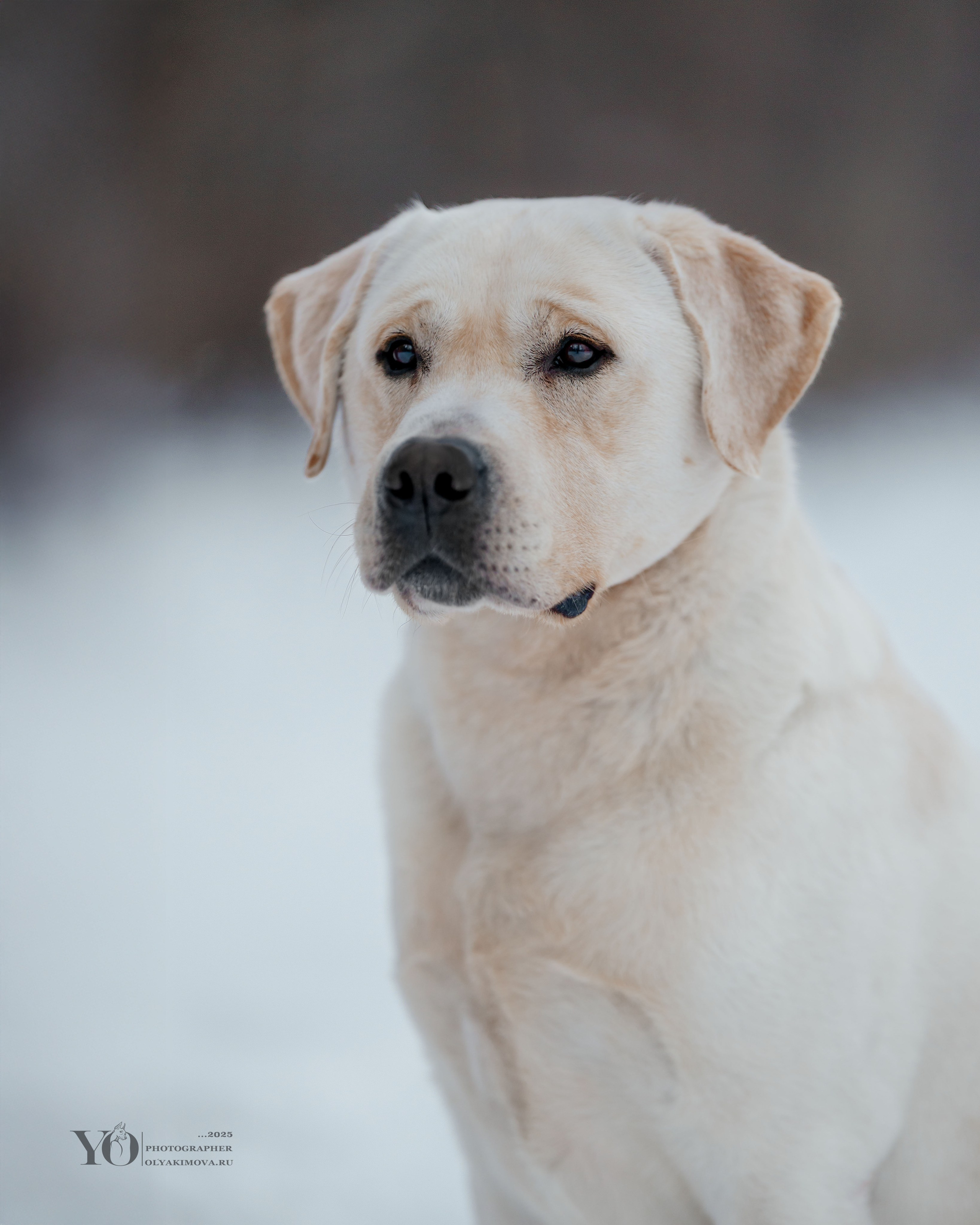 Экстерьер. Фотограф