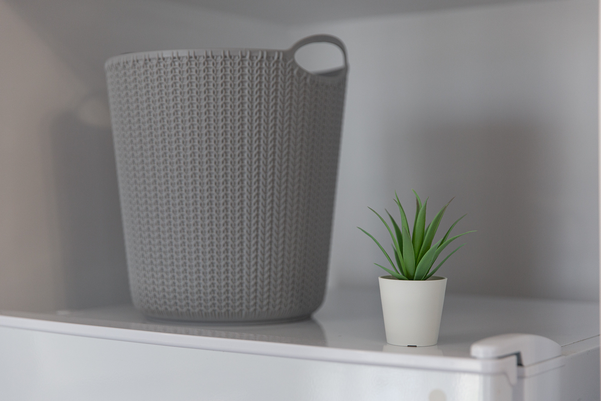 Renatphoto-Фотосессия студии с элементами декора. Профессиональная фотосъёмка интерьеров, предметная фотосессия еды для меню г. Анапа