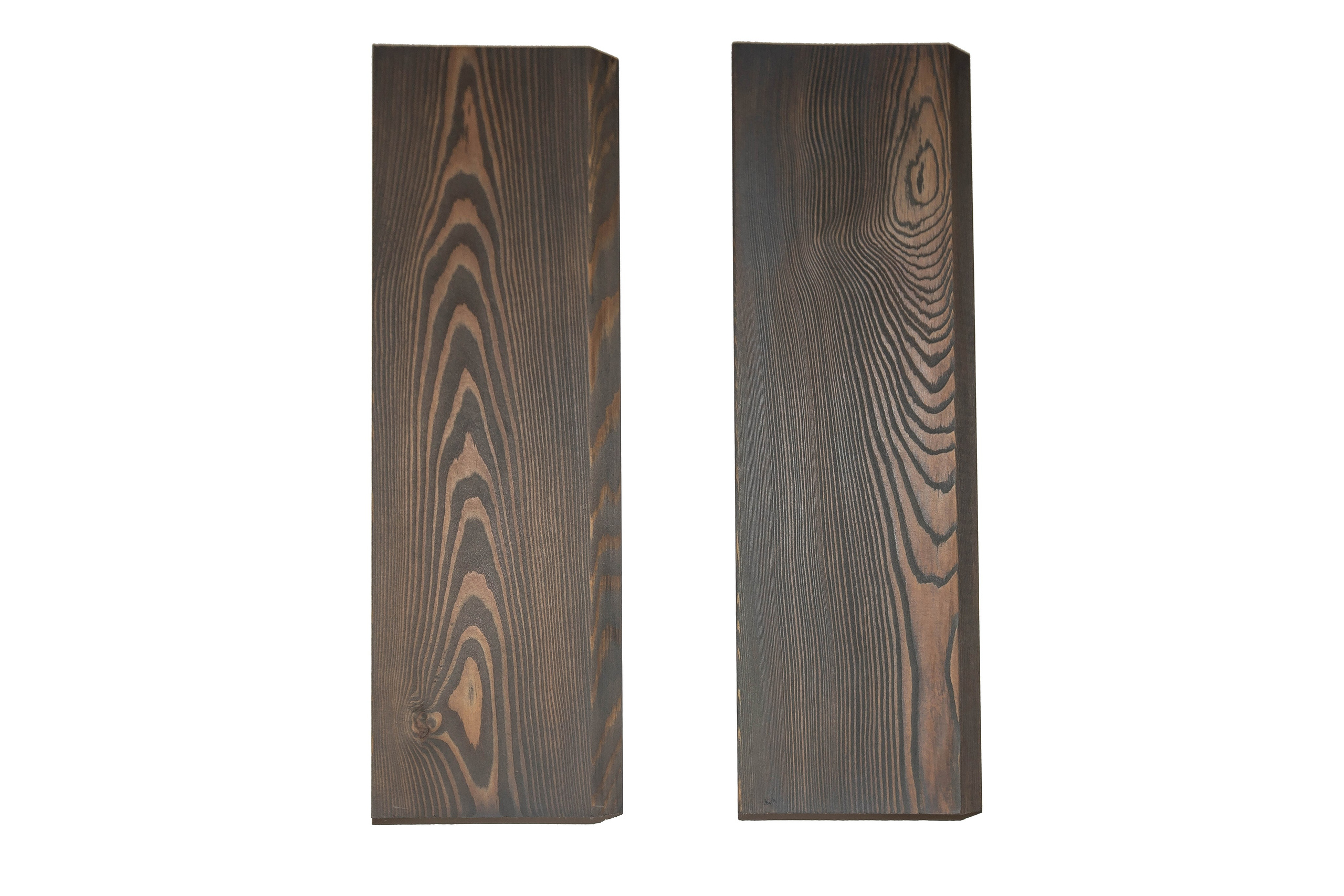 Дерево. Фотограф