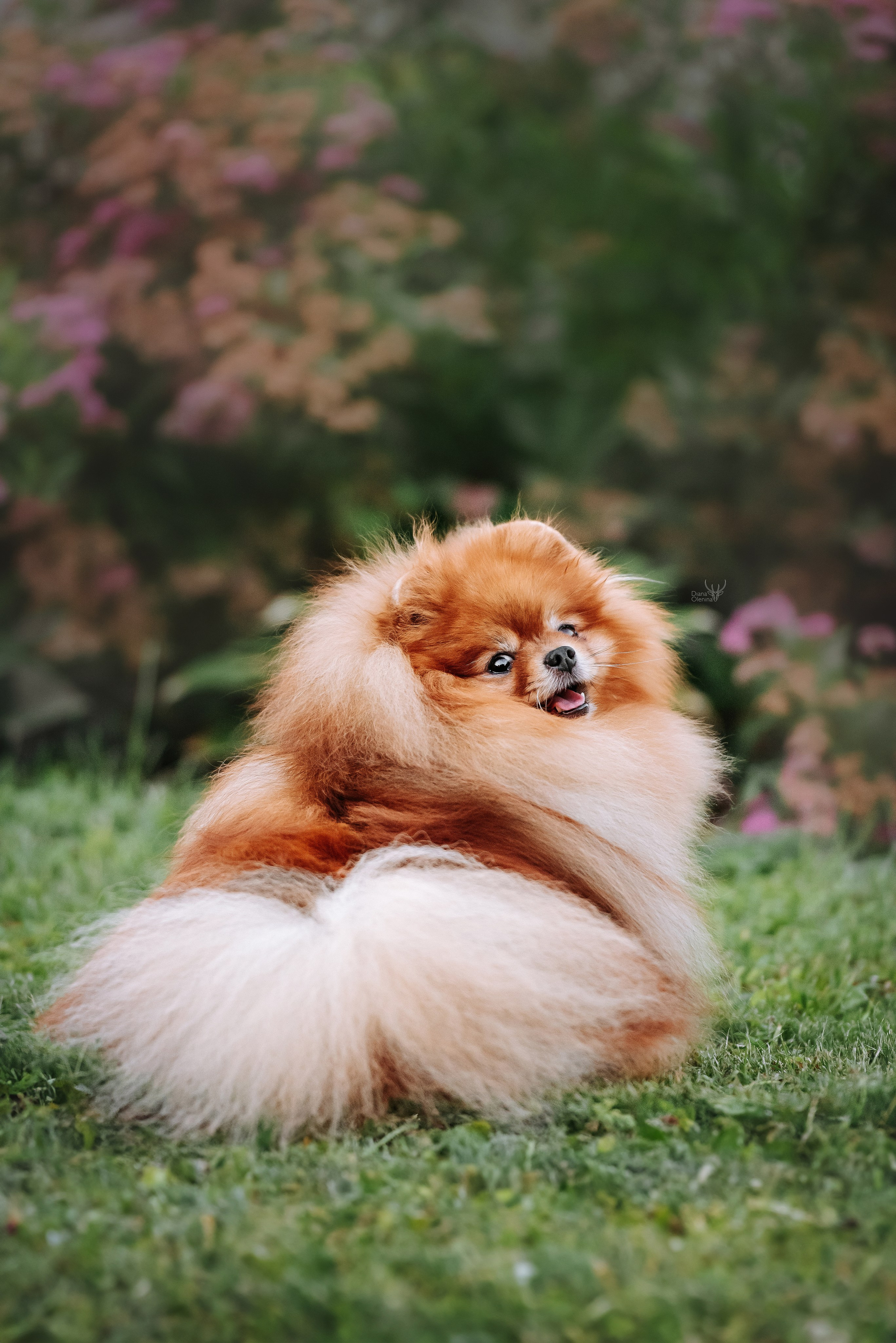 С выставок. Фотограф Диана Оленина Красноярск / Братск