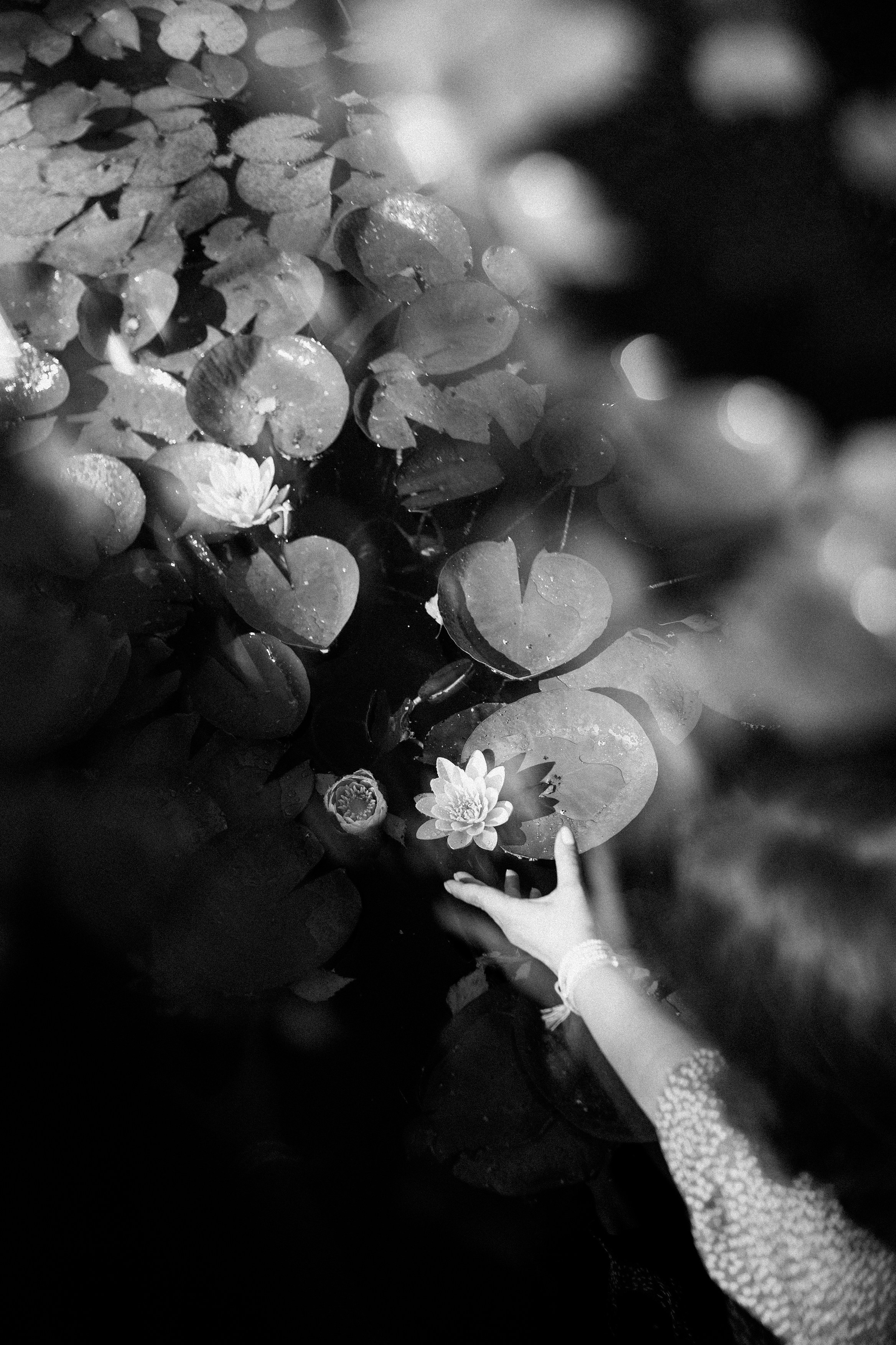 Вика. Дмитриева Светлана женский и семейный фотограф Рига, Москва, Геленджик