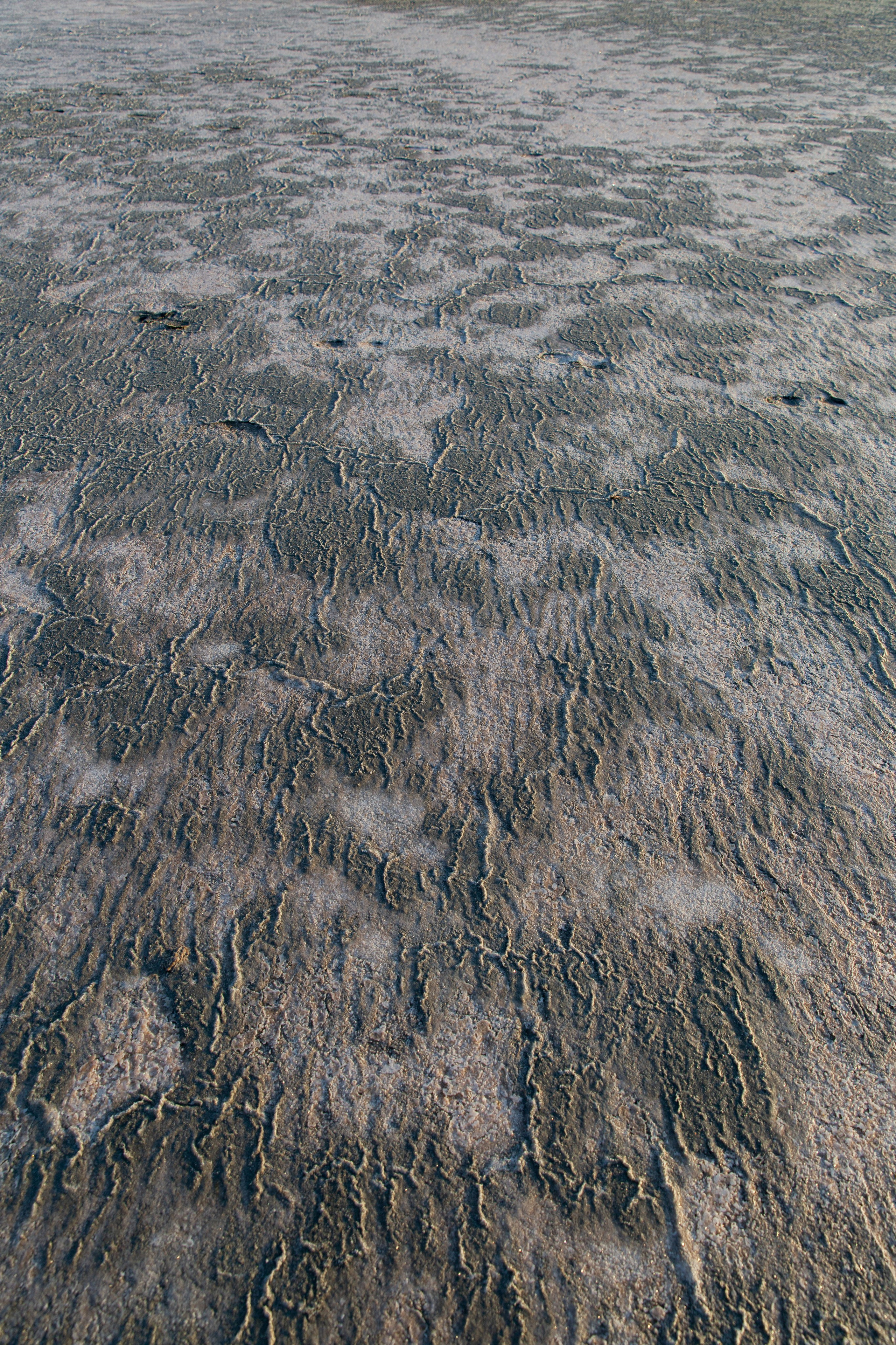 Campaign 2021 for CROKI. Photographer Anna Arzamastseva