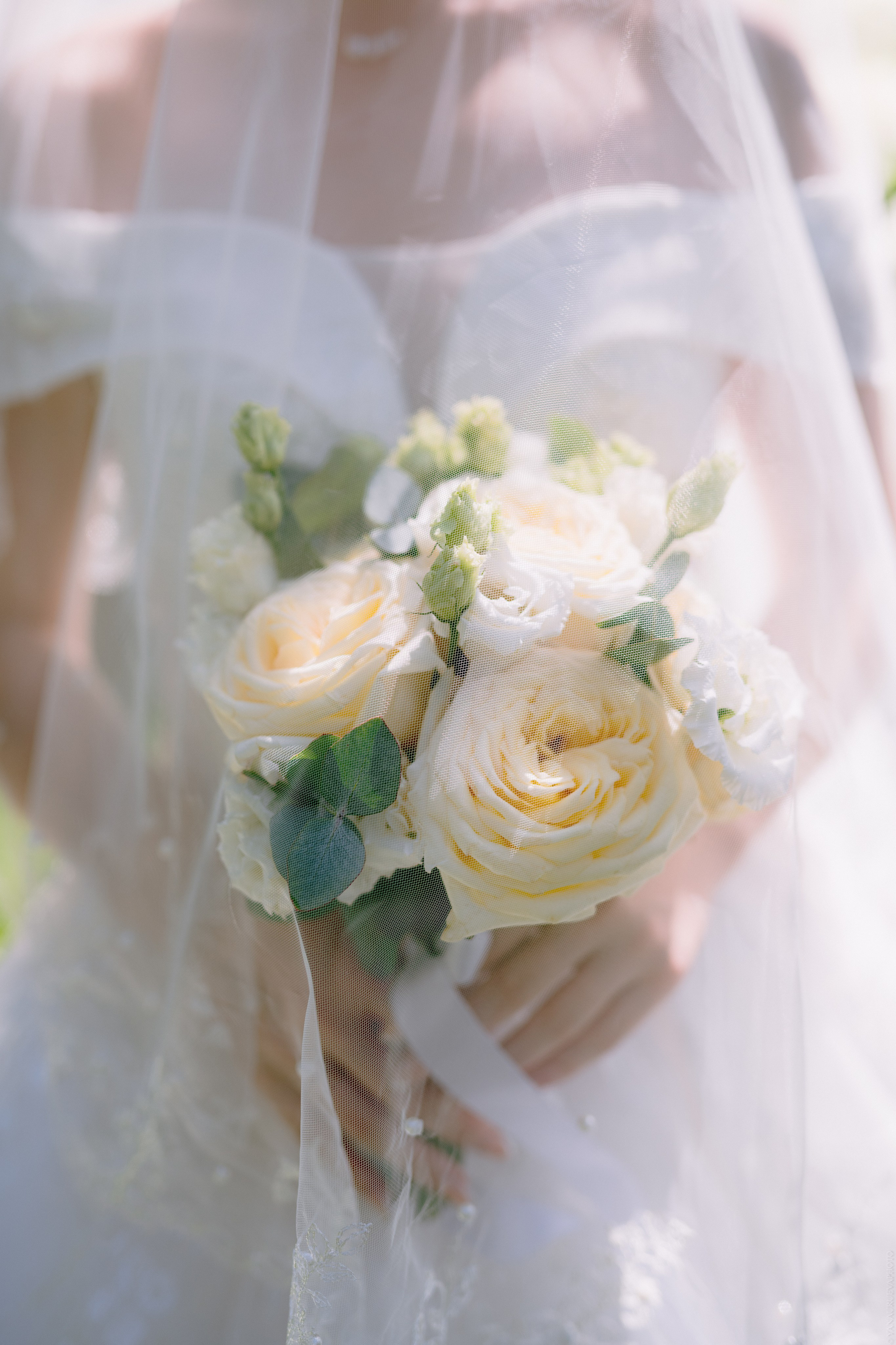 Свадебный анонс. Данил и Вера. Свадебный и контент- фотограф в Тольятти, Самаре, Москве Яна Уруева