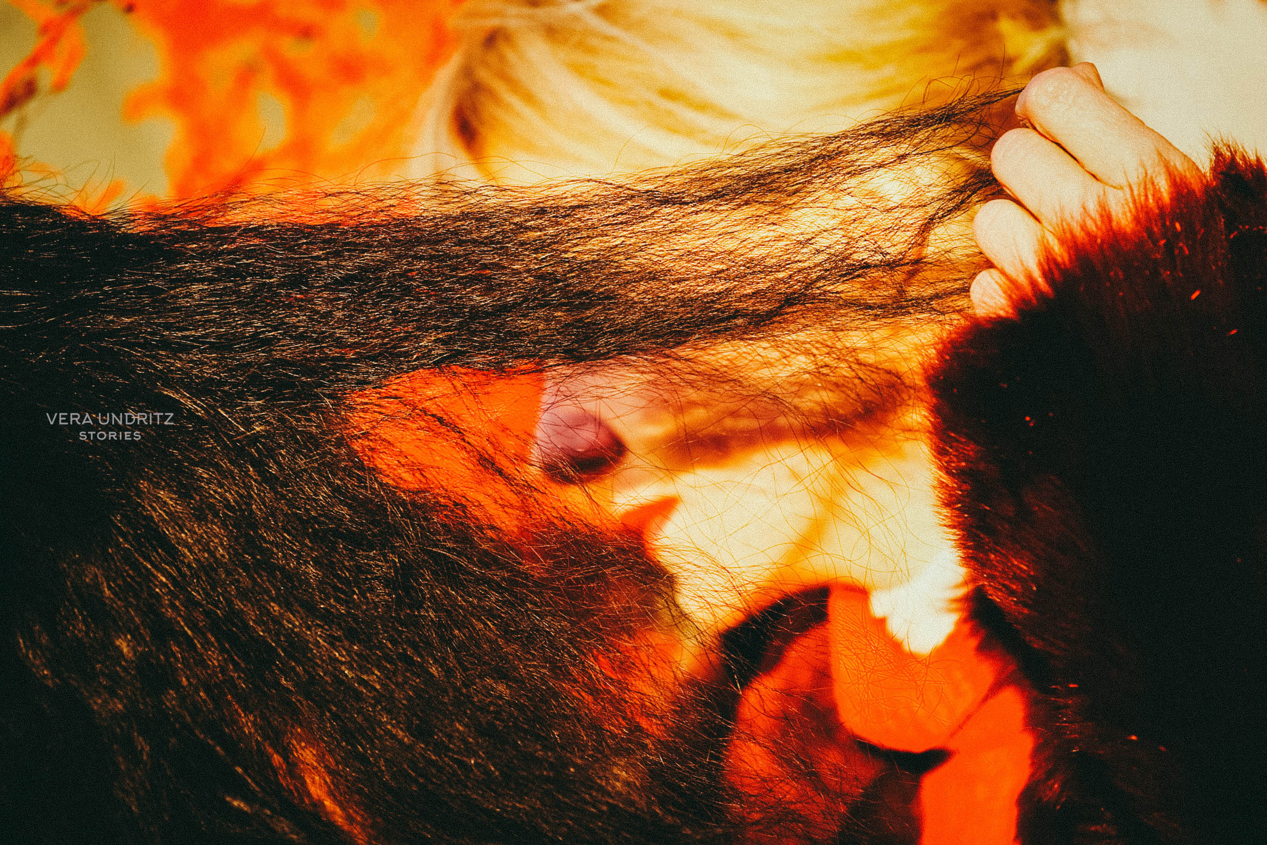 Фильм «Последняя сказка Риты» Ренаты Литвиновой. Вера Ундриц/Vera Undritz, celebrity фотограф, Москва