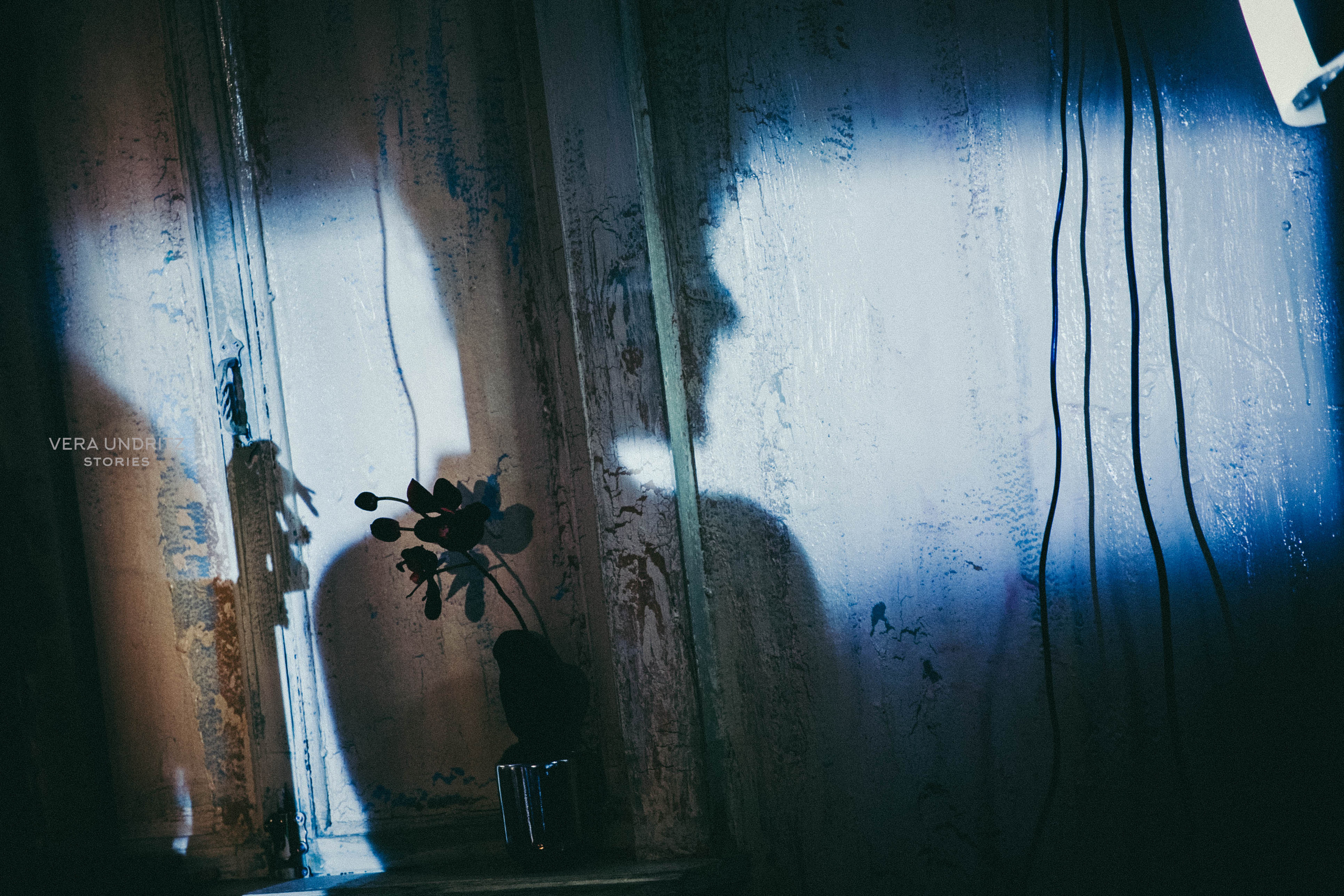 Фильм «Последняя сказка Риты» Ренаты Литвиновой. Вера Ундриц/Vera Undritz, celebrity фотограф, Москва