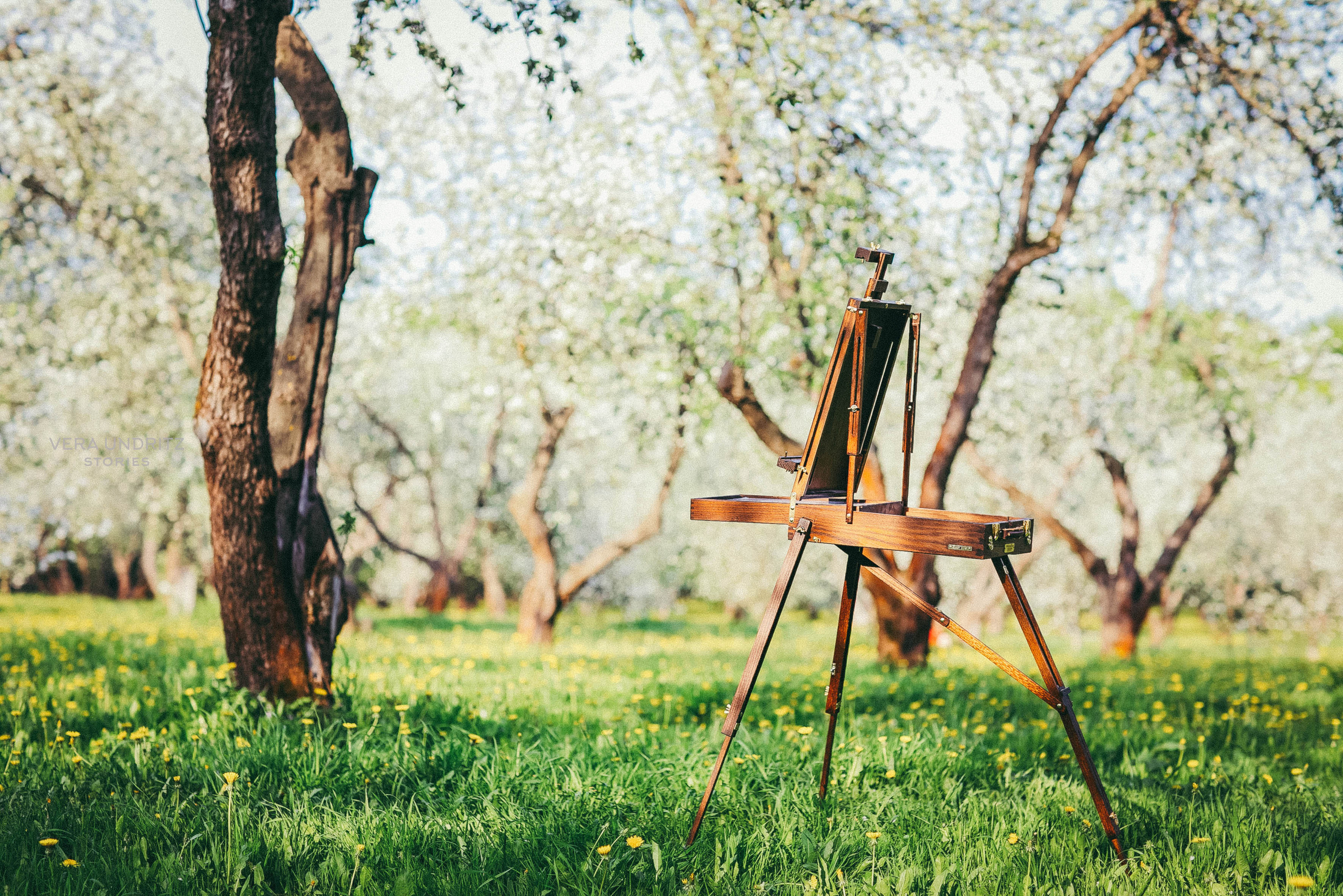 Контент-съёмка для художницы Яны. Вера Ундриц/Vera Undritz, celebrity фотограф, Москва