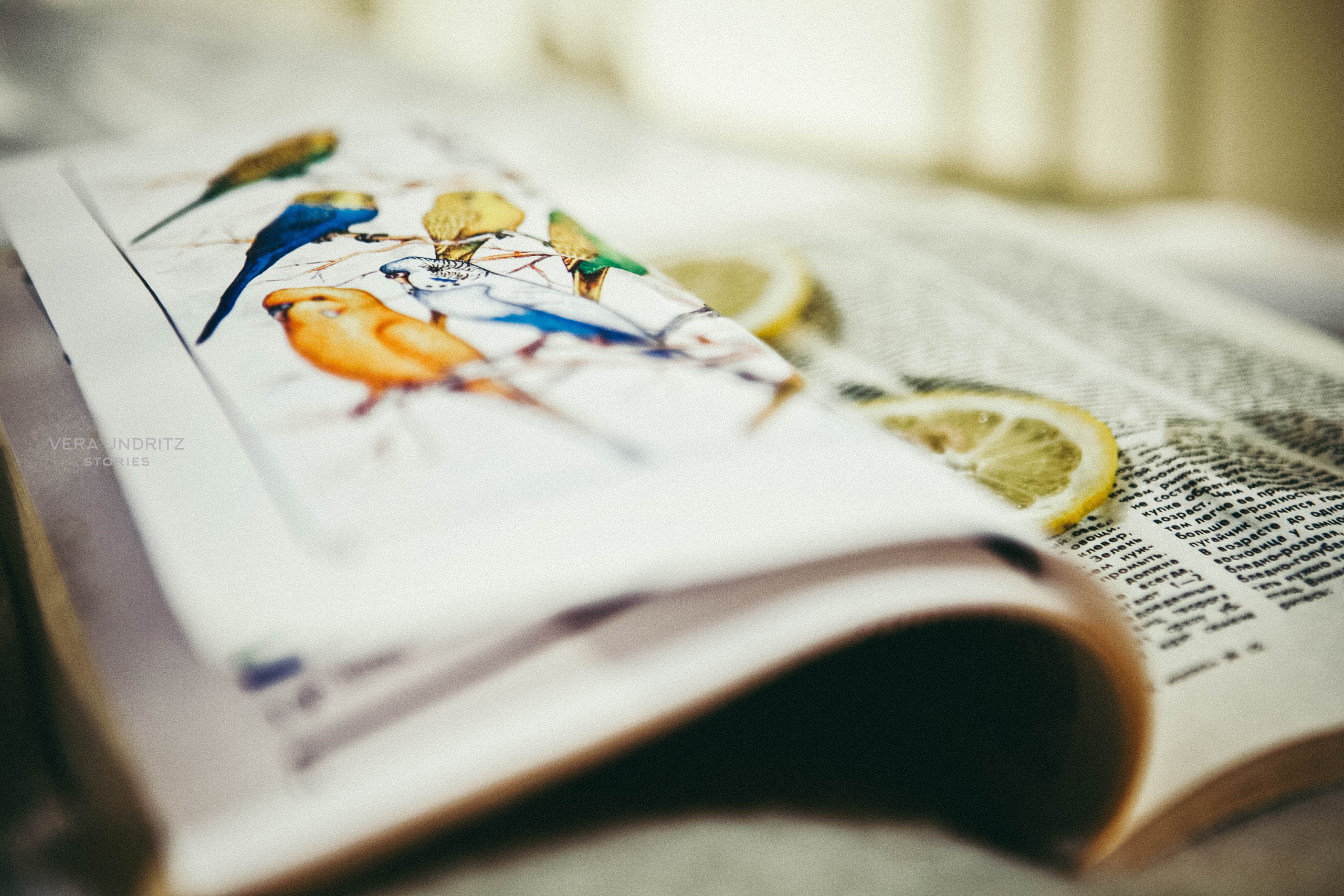 Фильм «Последняя сказка Риты» Ренаты Литвиновой. Вера Ундриц/Vera Undritz, celebrity фотограф, Москва