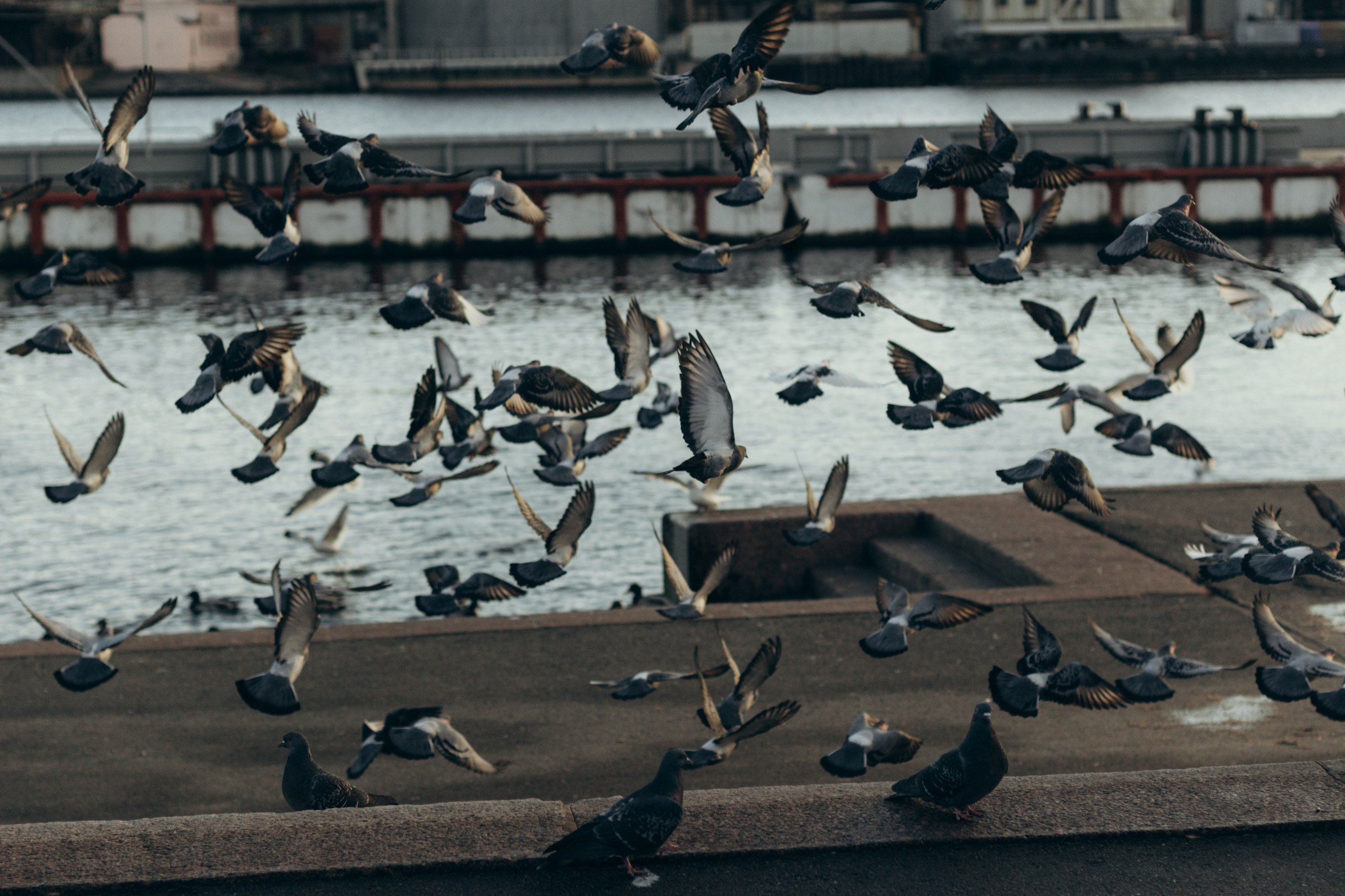 Безгранично. Вика и Лилиан. Семейный и детский фотограф в Санкт-Петербурге — Лаврова Ольга