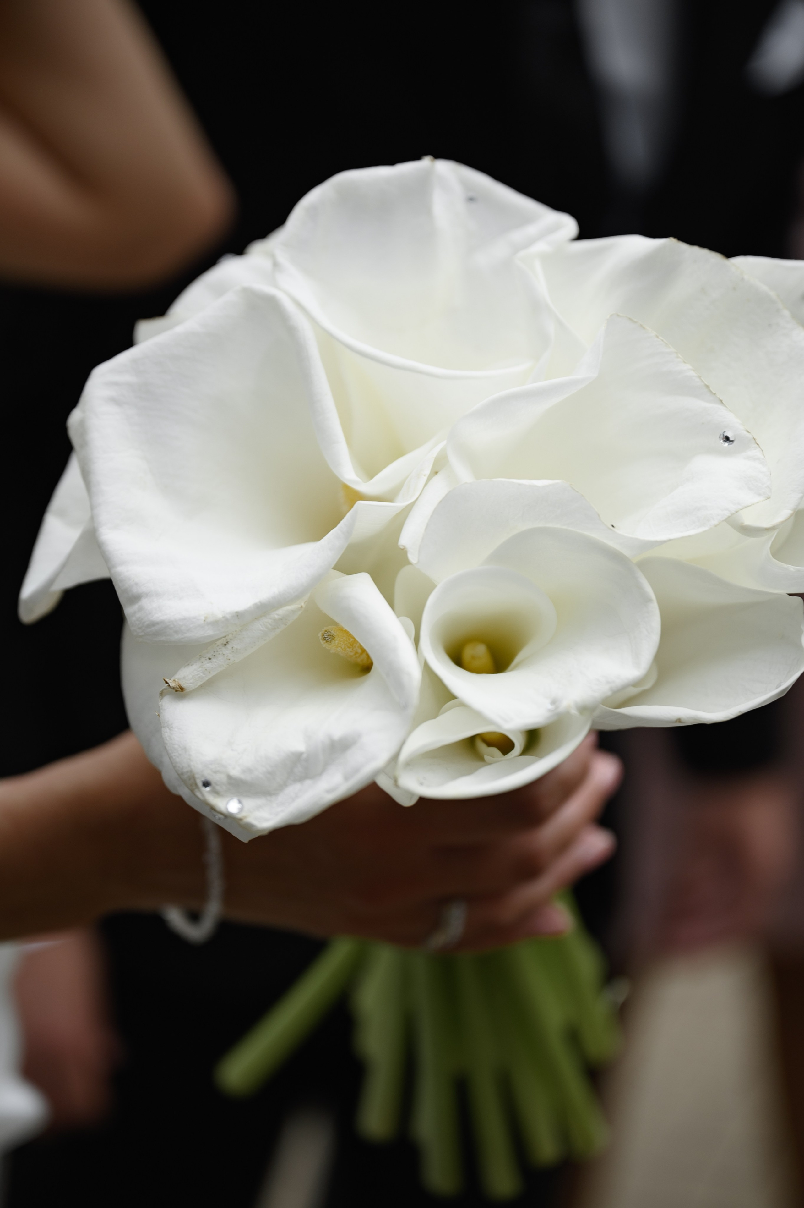 15.06.2024. RETOUCH-HOUSE