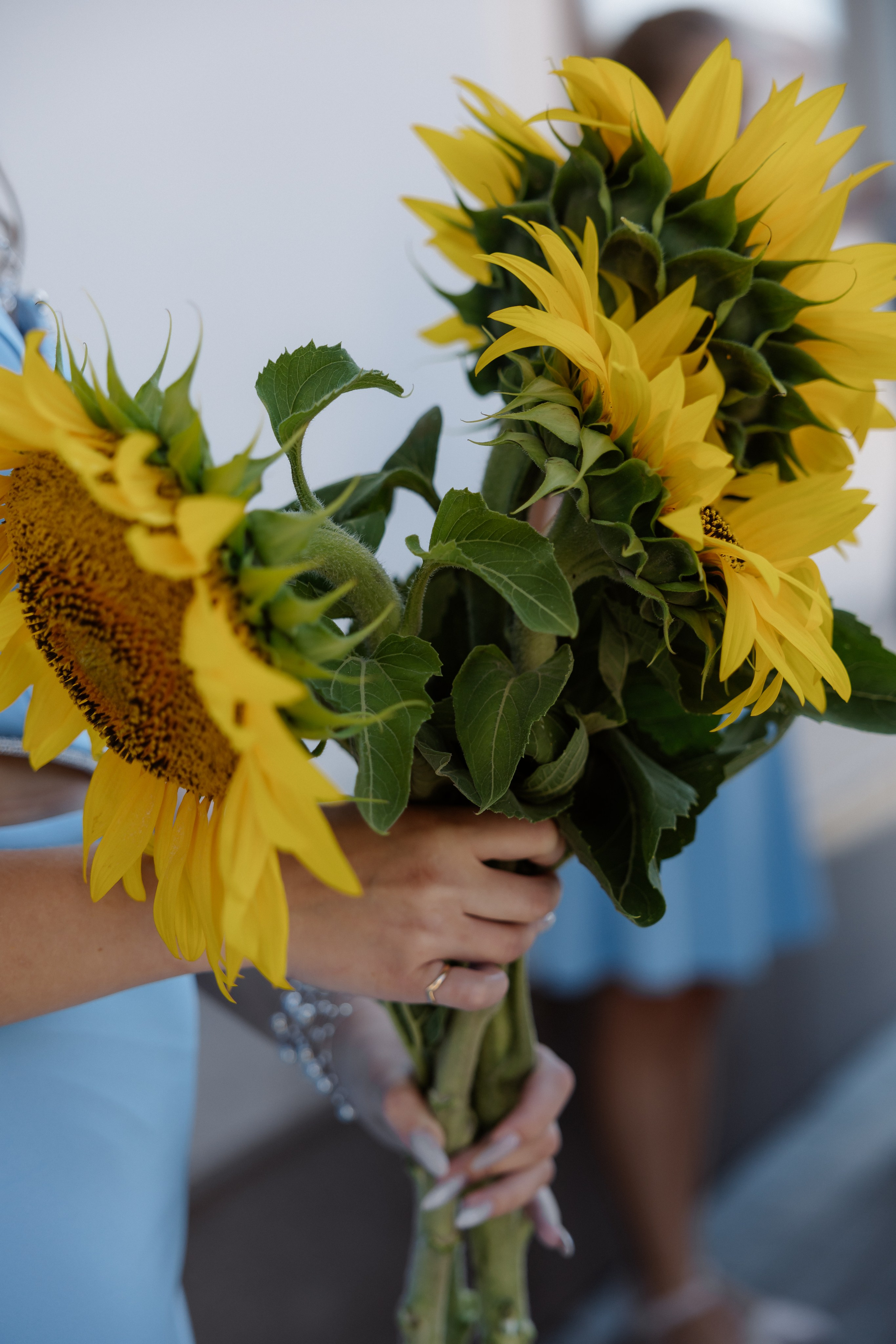 Александр & Марьяна. RETOUCH-HOUSE