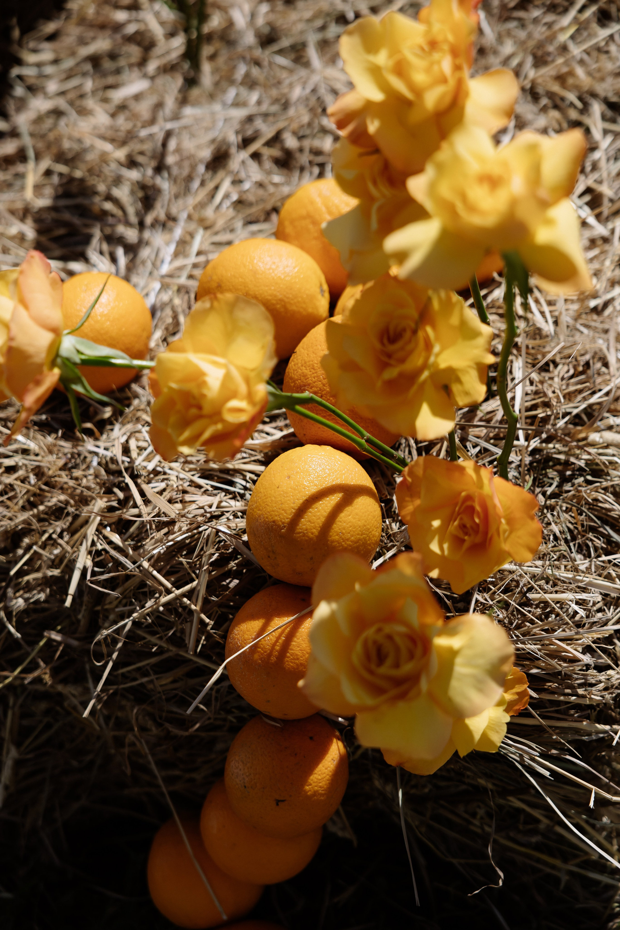 Владислав & Виктория. RETOUCH-HOUSE